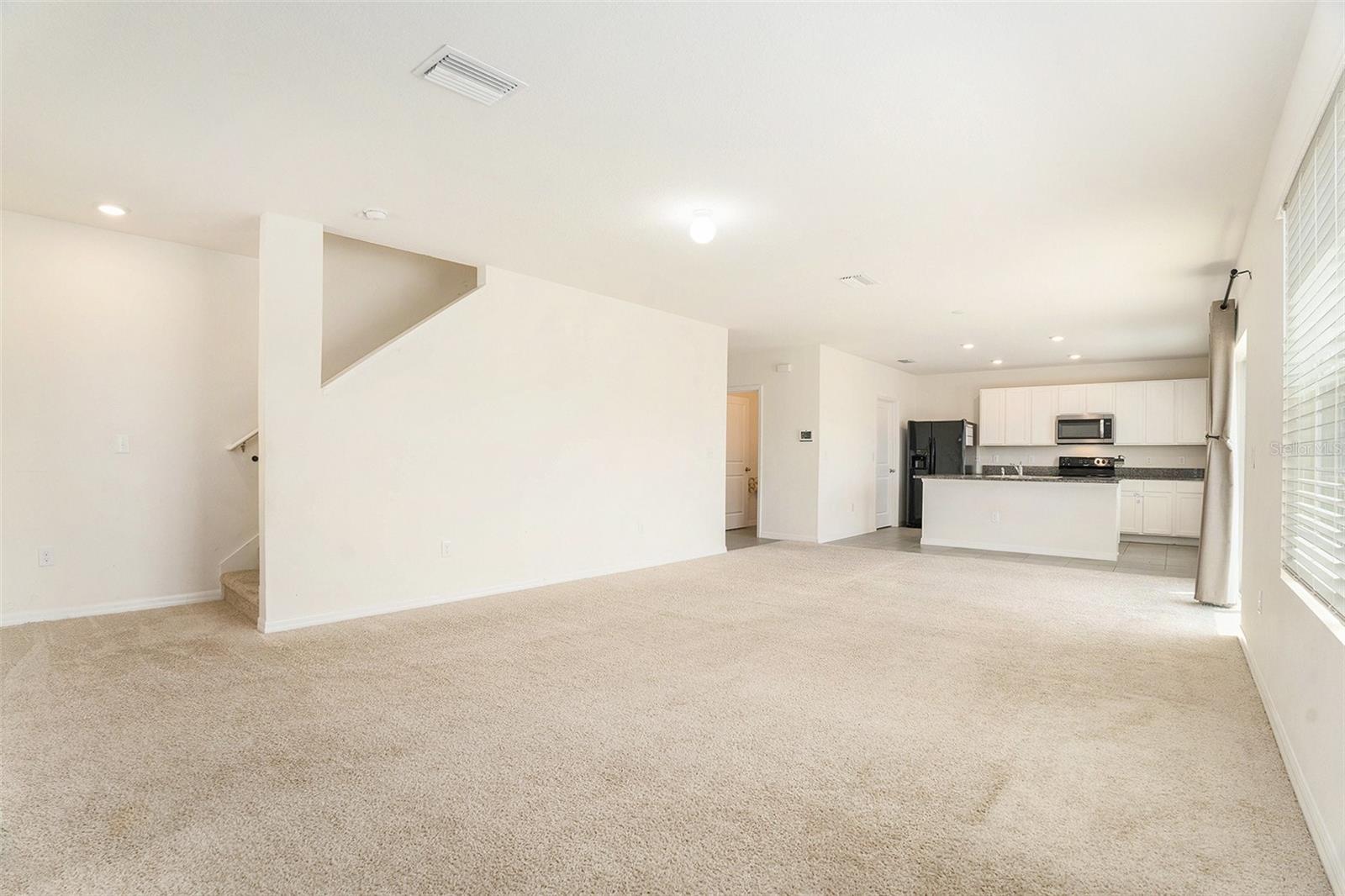 Living room and kitchen