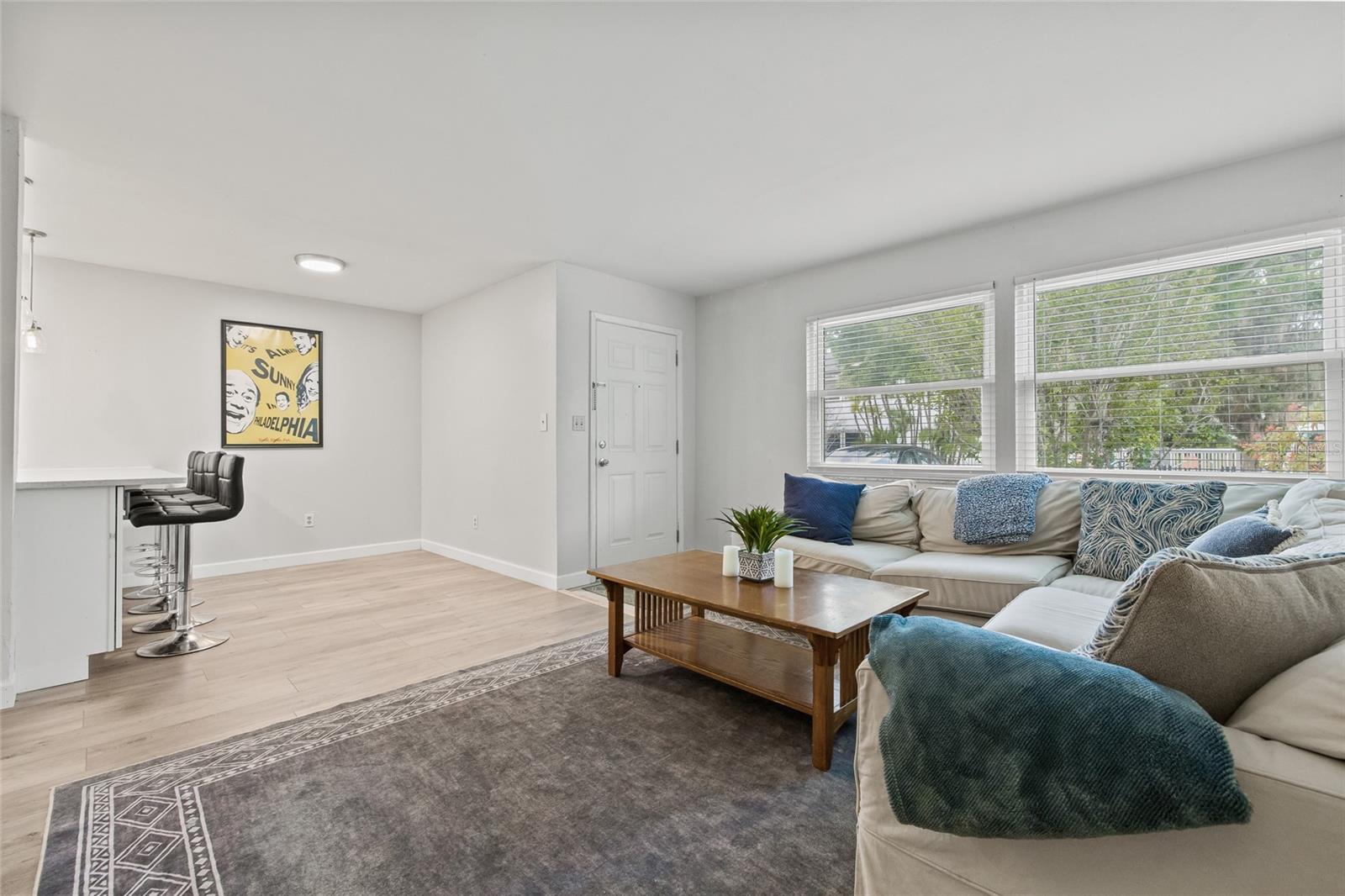 Living Space and Dining Space