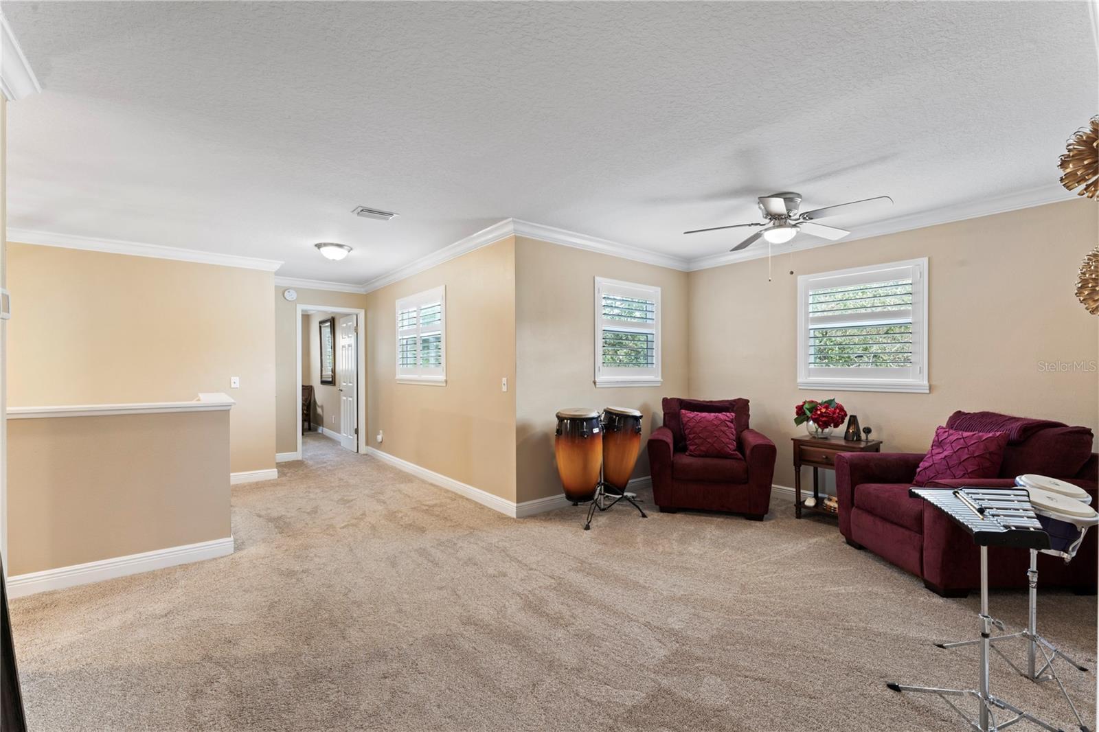 Open Loft Area