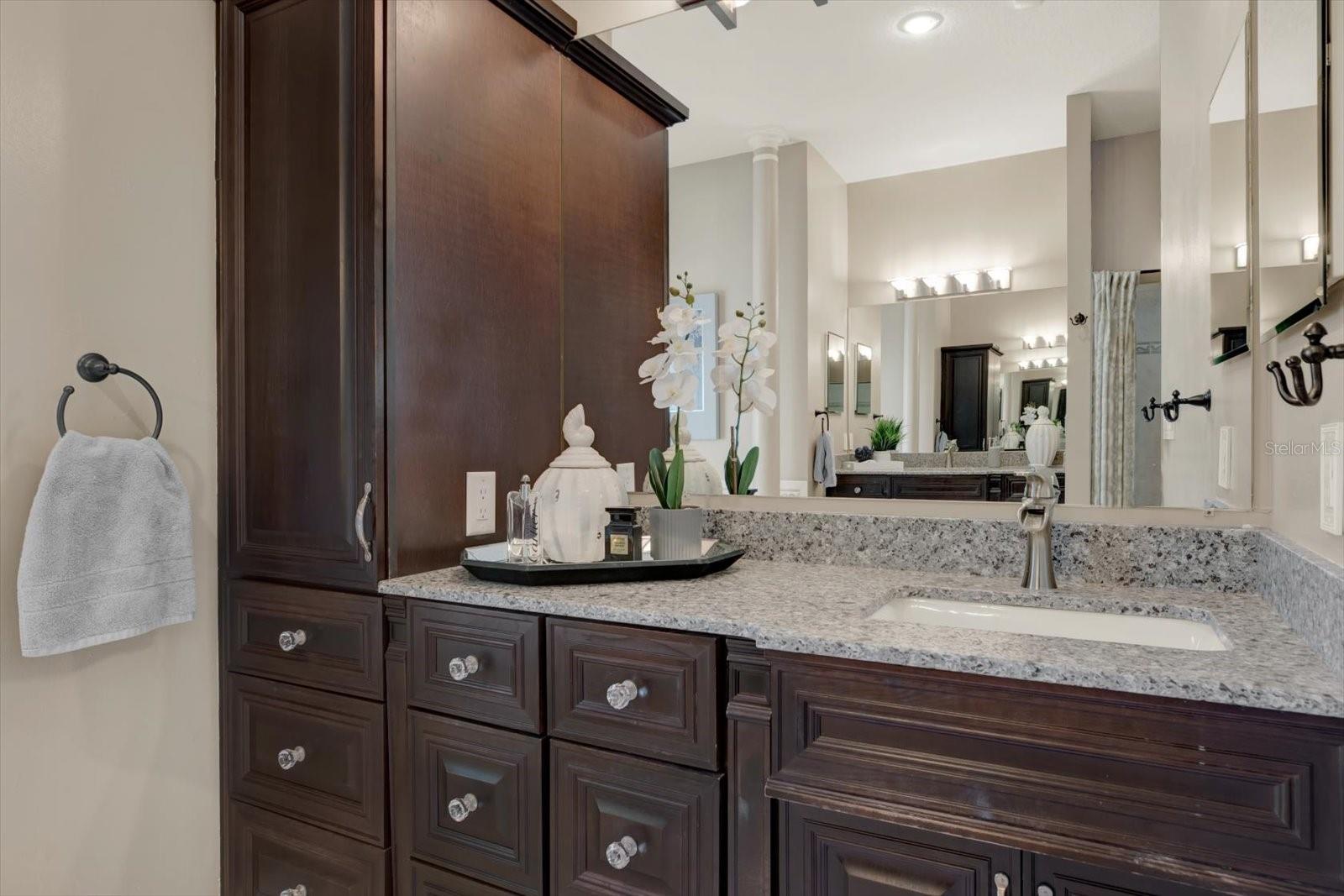 Additional sink/vanity and wood cabinetry.