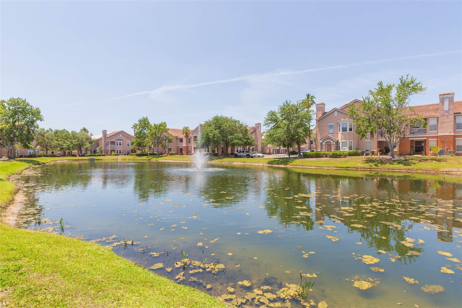 Pond view