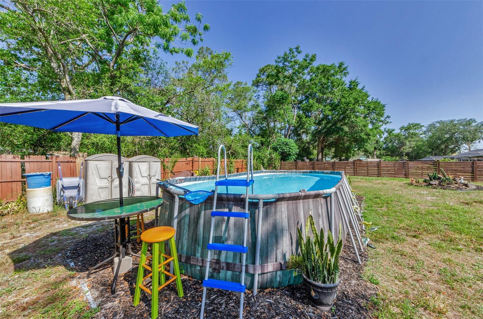 Backyard/Pool