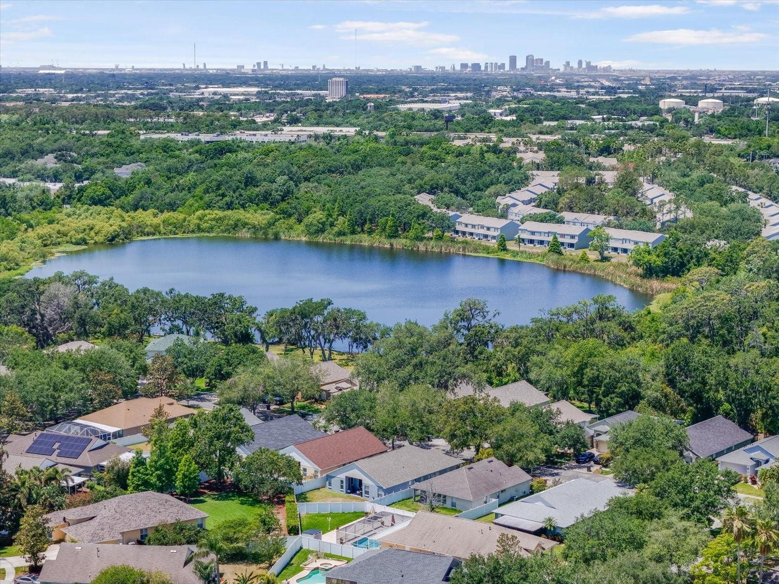 Brandon is minutes from Downtown Tampa!