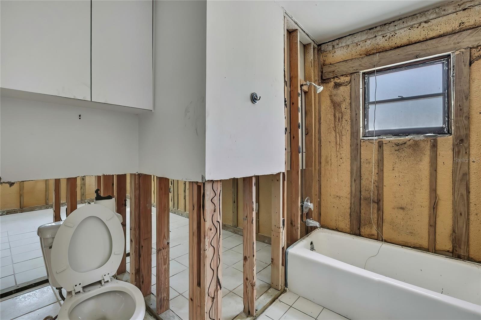Main Bathroom