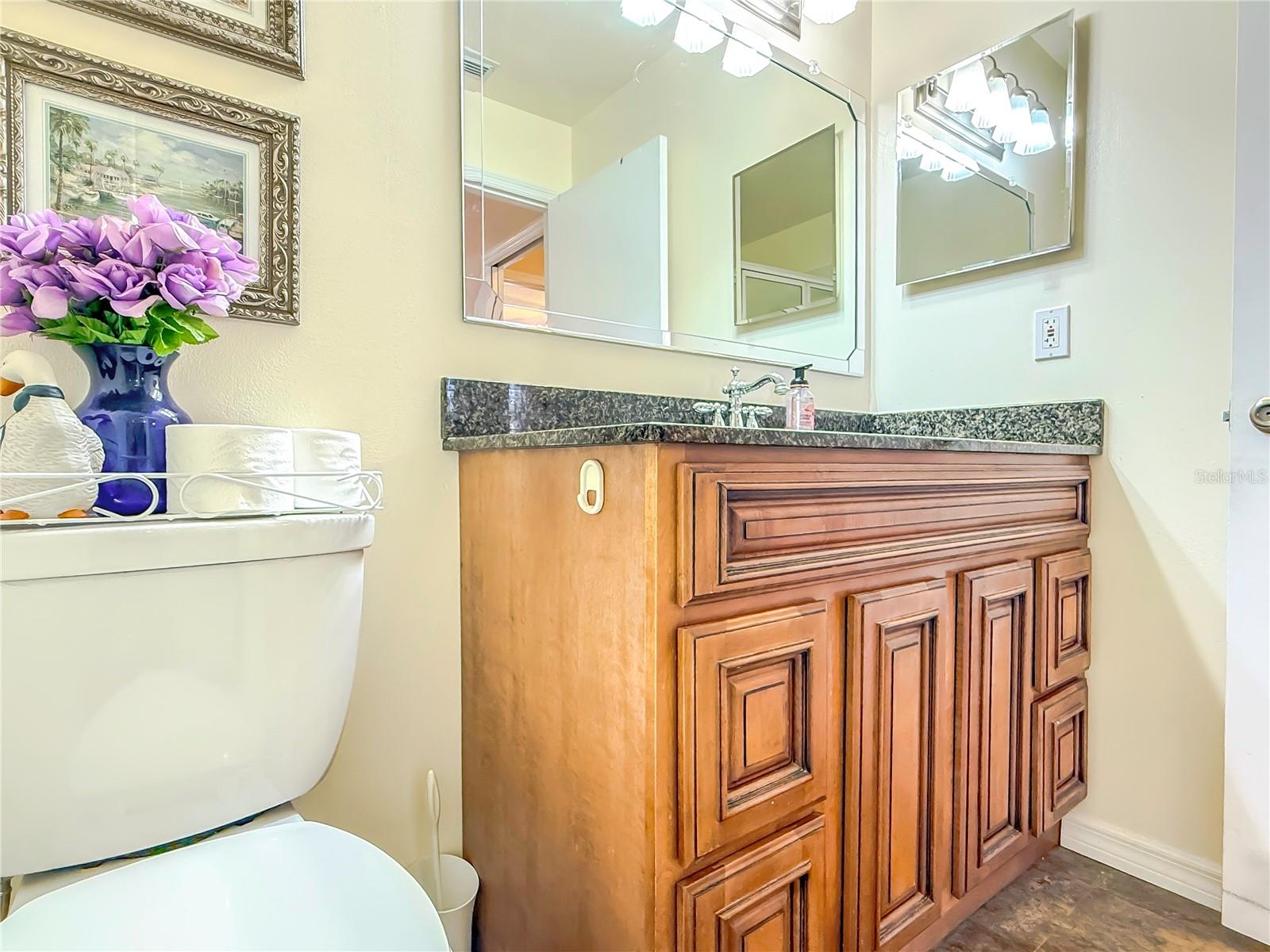 Master bath vanity