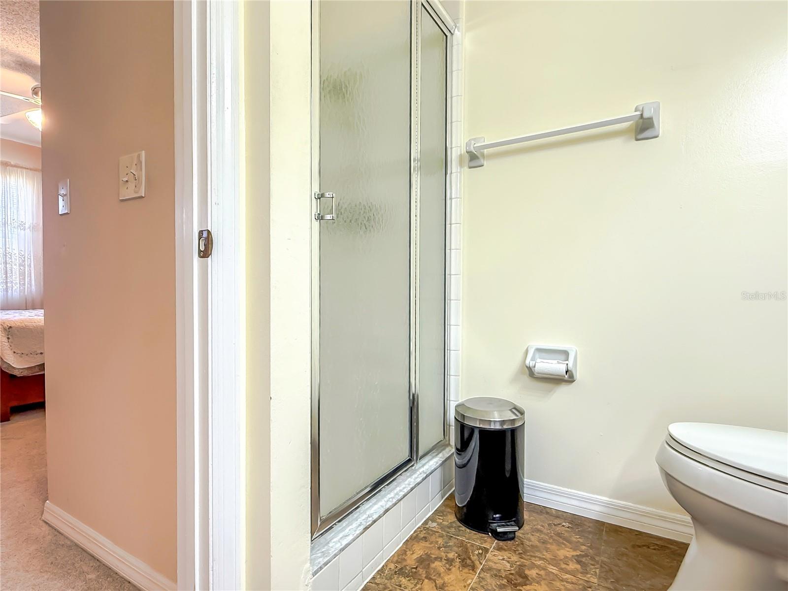 Master bath shower