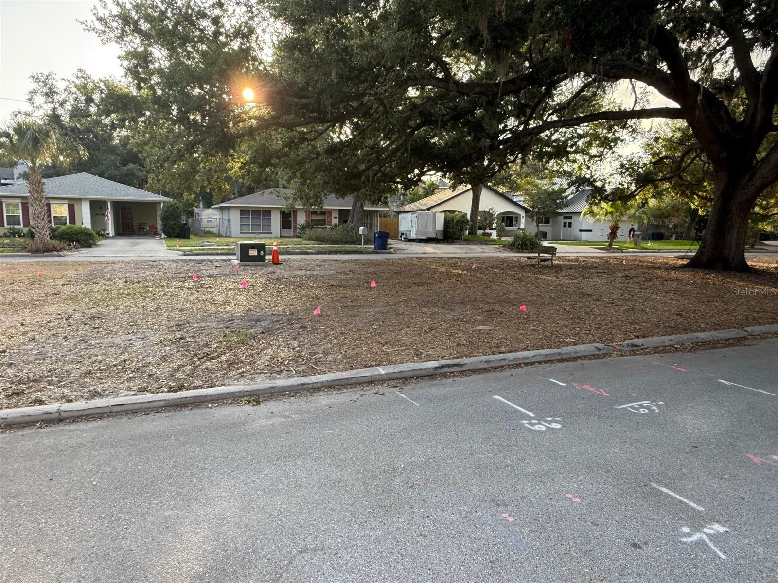 Front Median