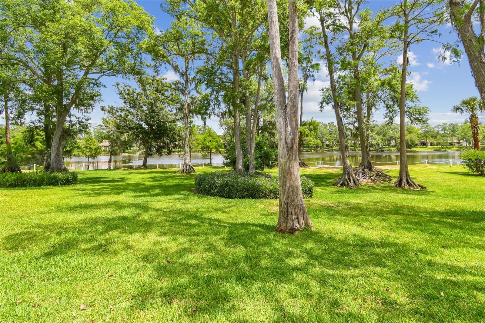 Backyard View