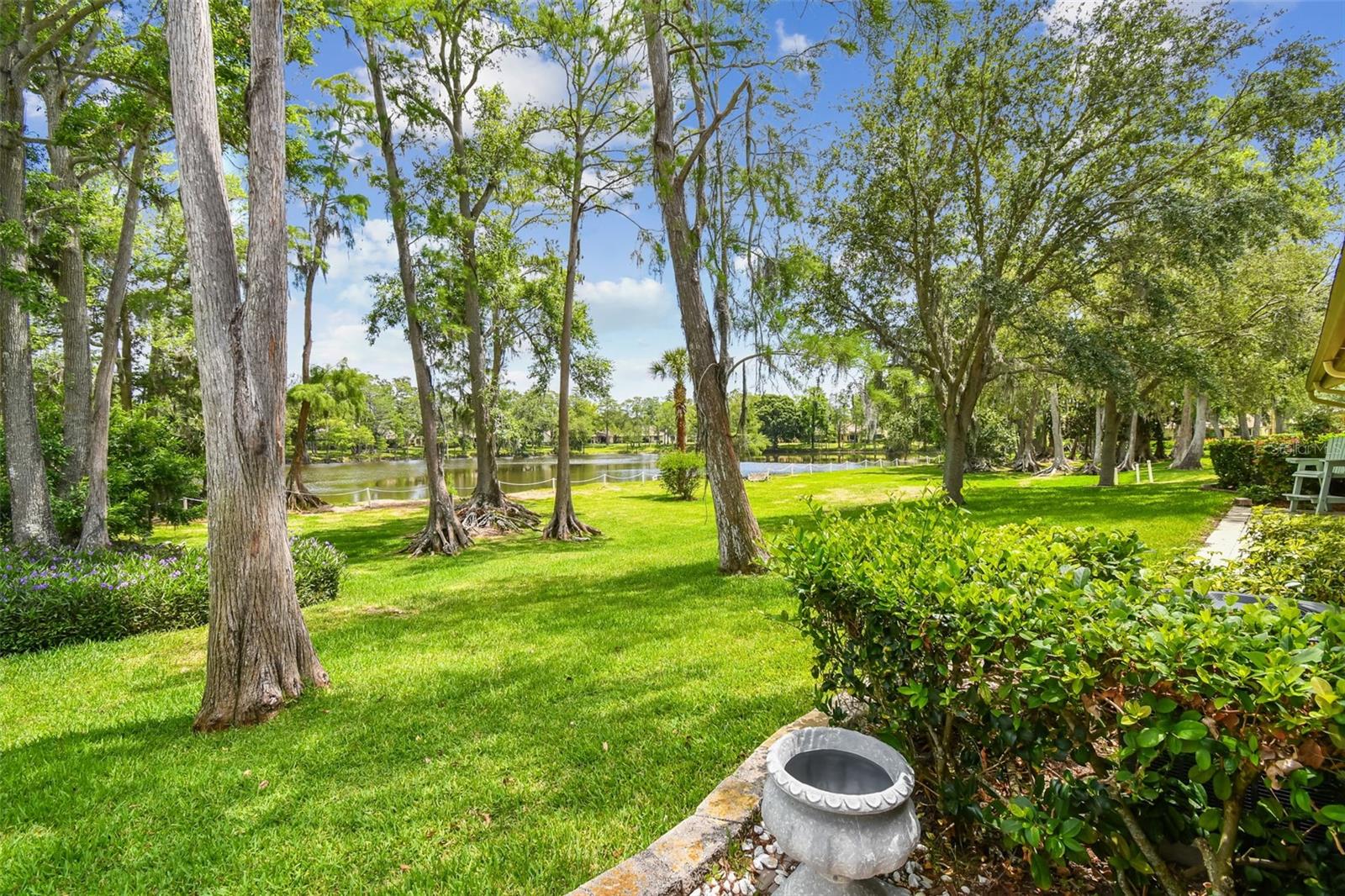 Backyard View
