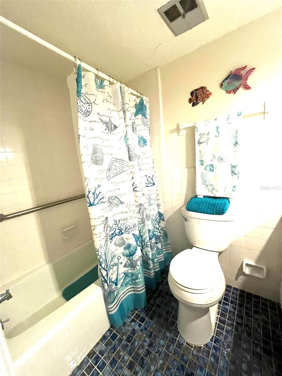 2ND BATHROOM WITH TUB AND GRAB BAR
