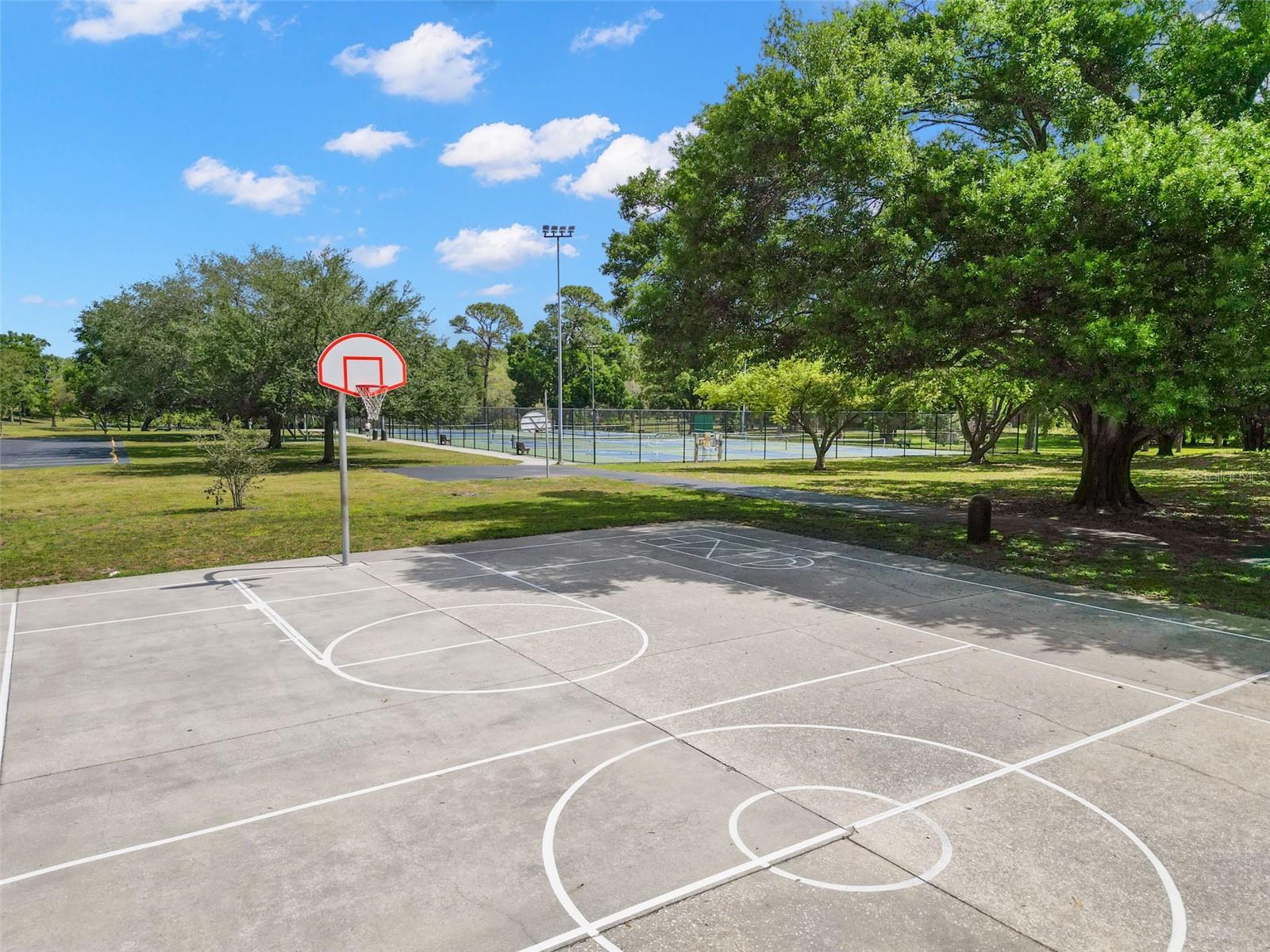 Basketball/Tennis courts