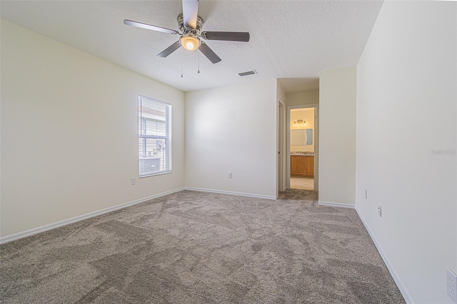 New Carpet