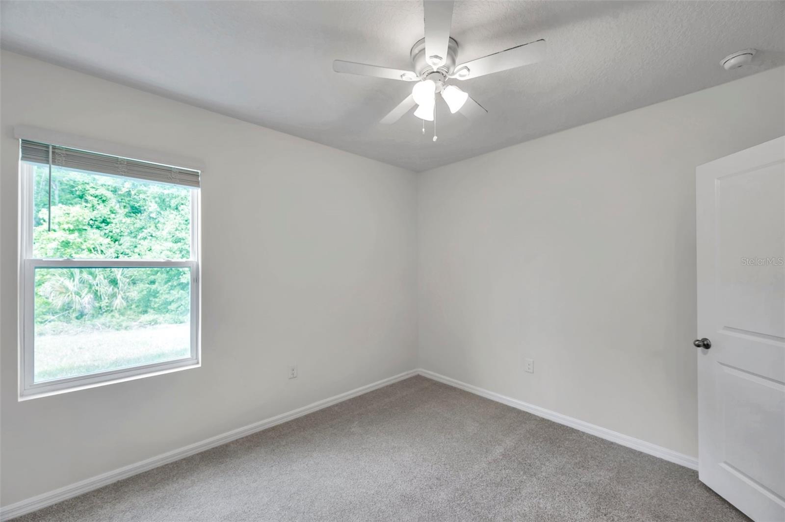 Downstairs bedroom