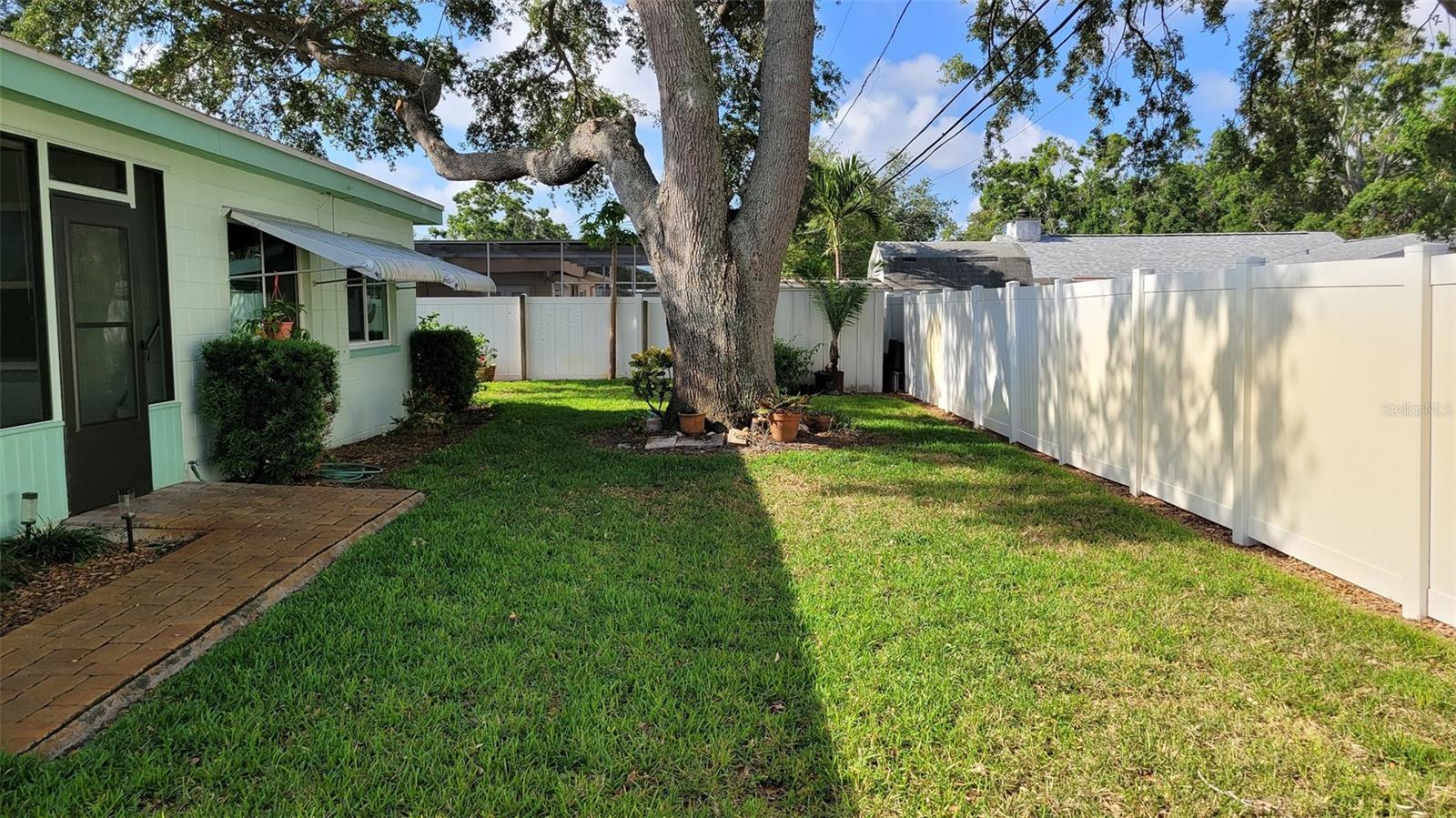 The back yard