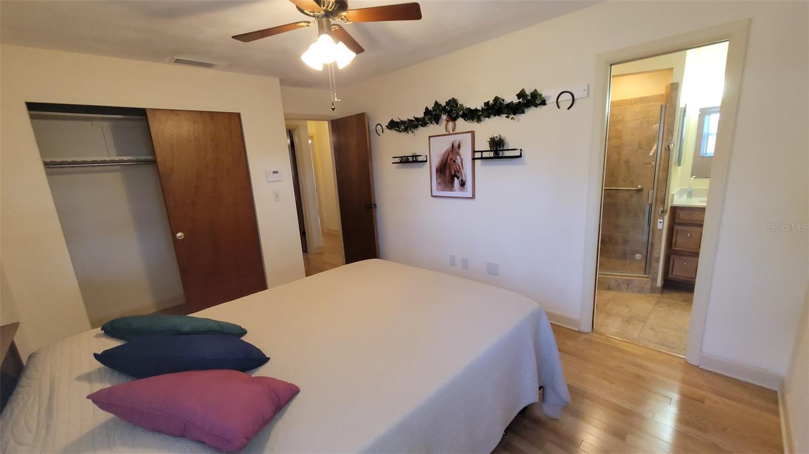 2nd view of the primary bedroom where you can see the beautiful shower _ bathroom that has several bars for safety.