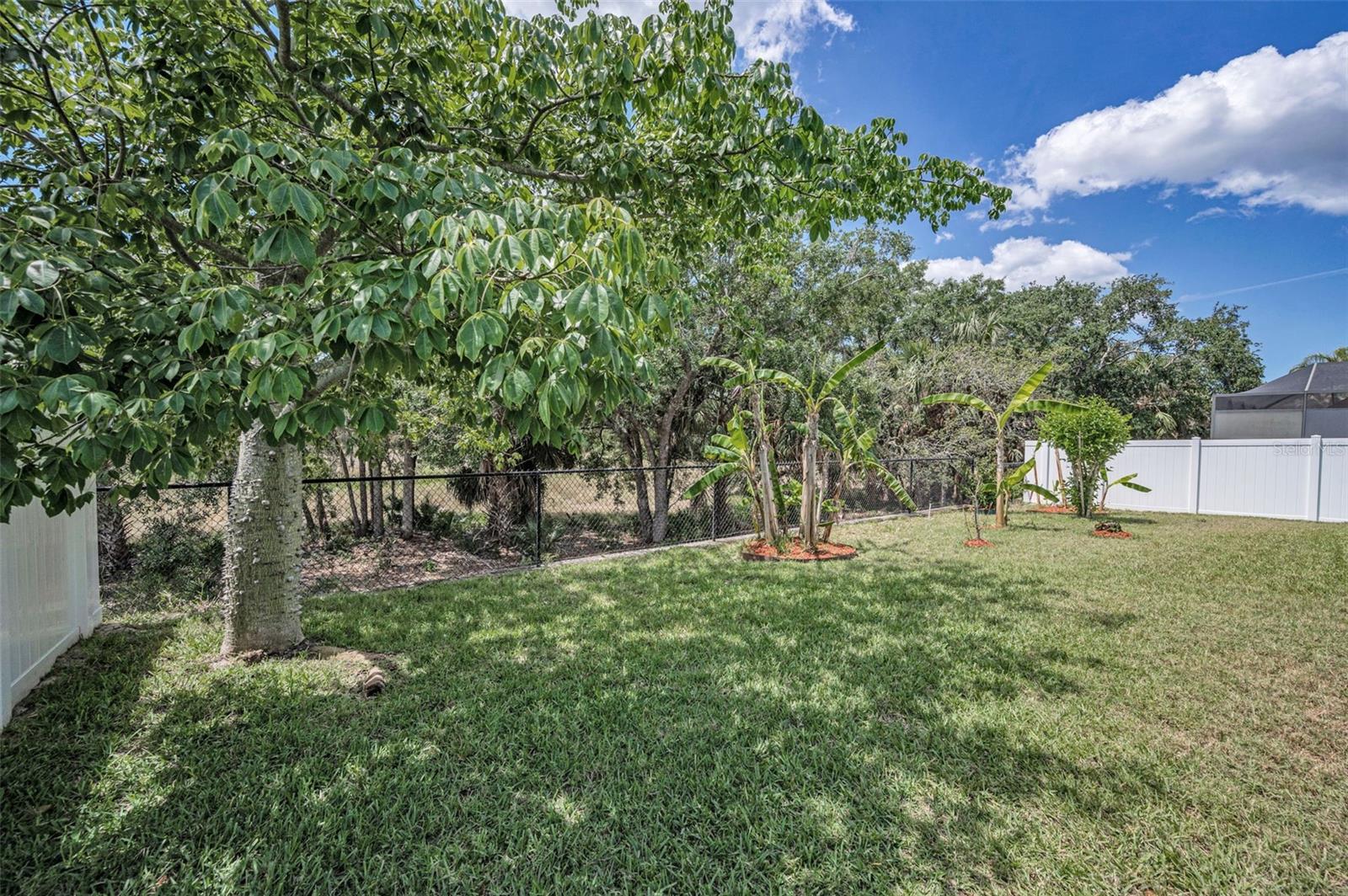 Fenced-in backyard with conservation view and trees.