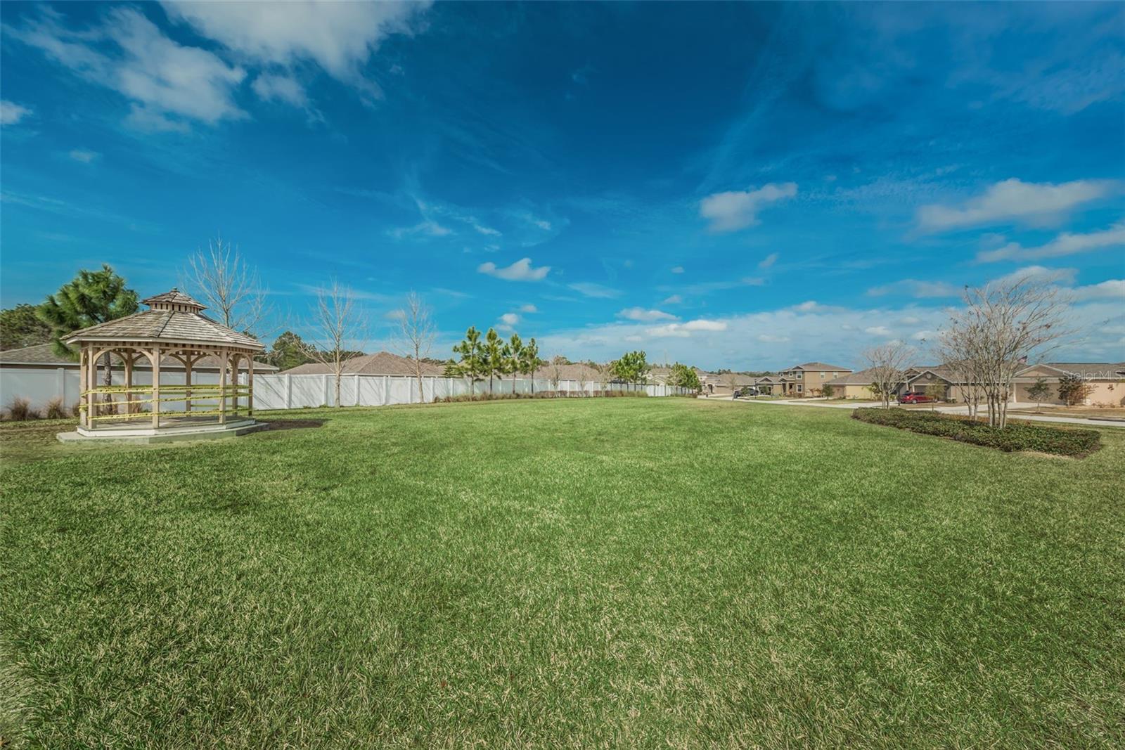 Another view of the dog park area