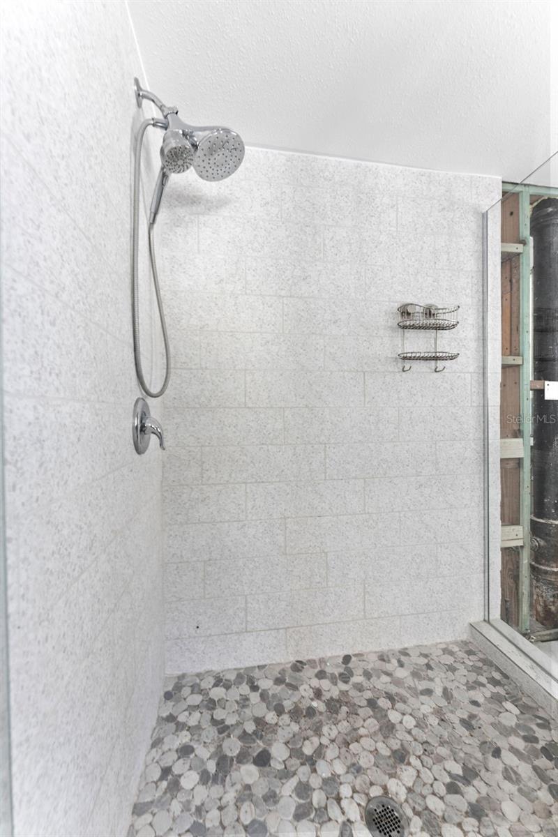 the shower in hall bath