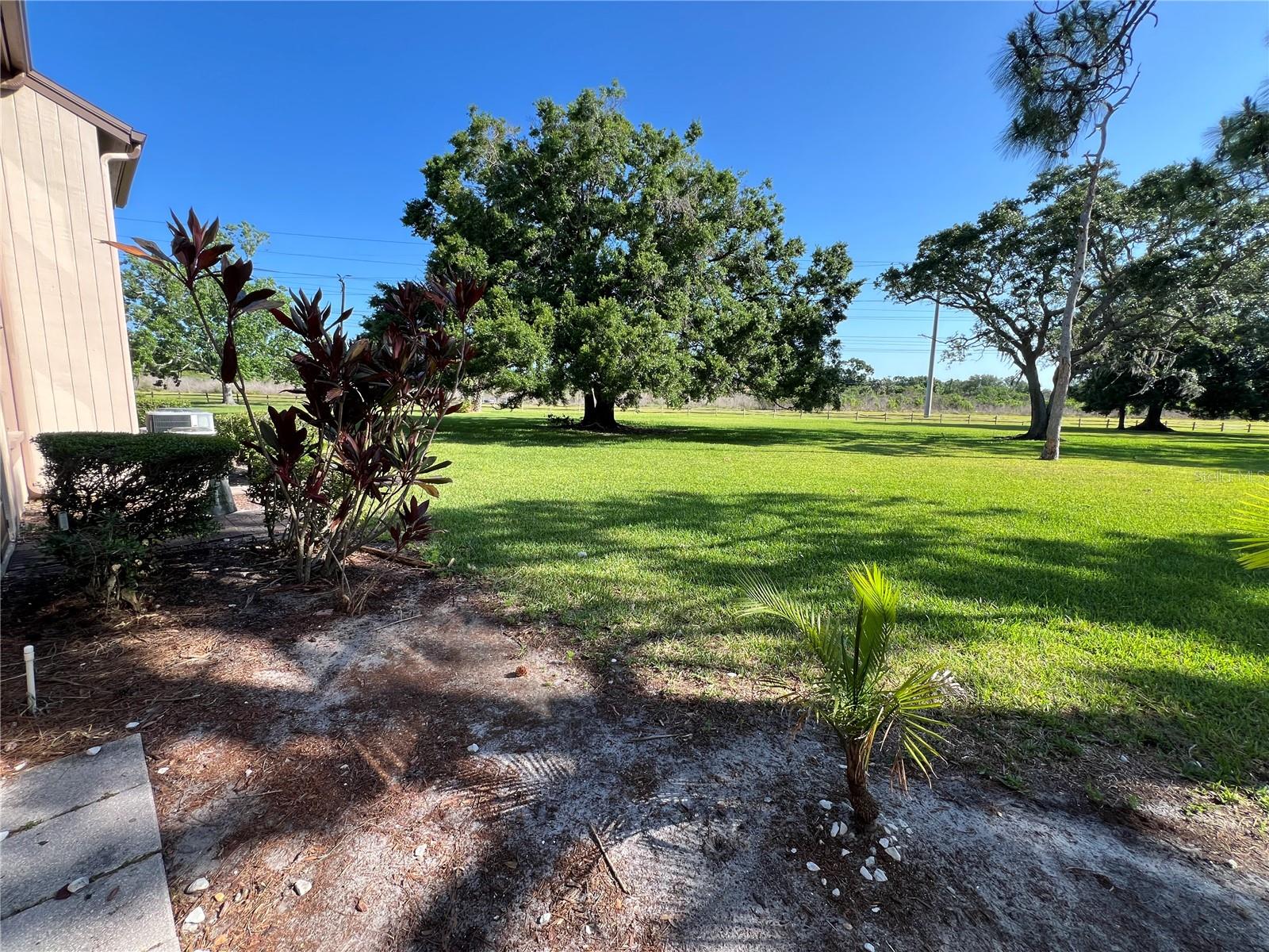 Beautiful backyard view