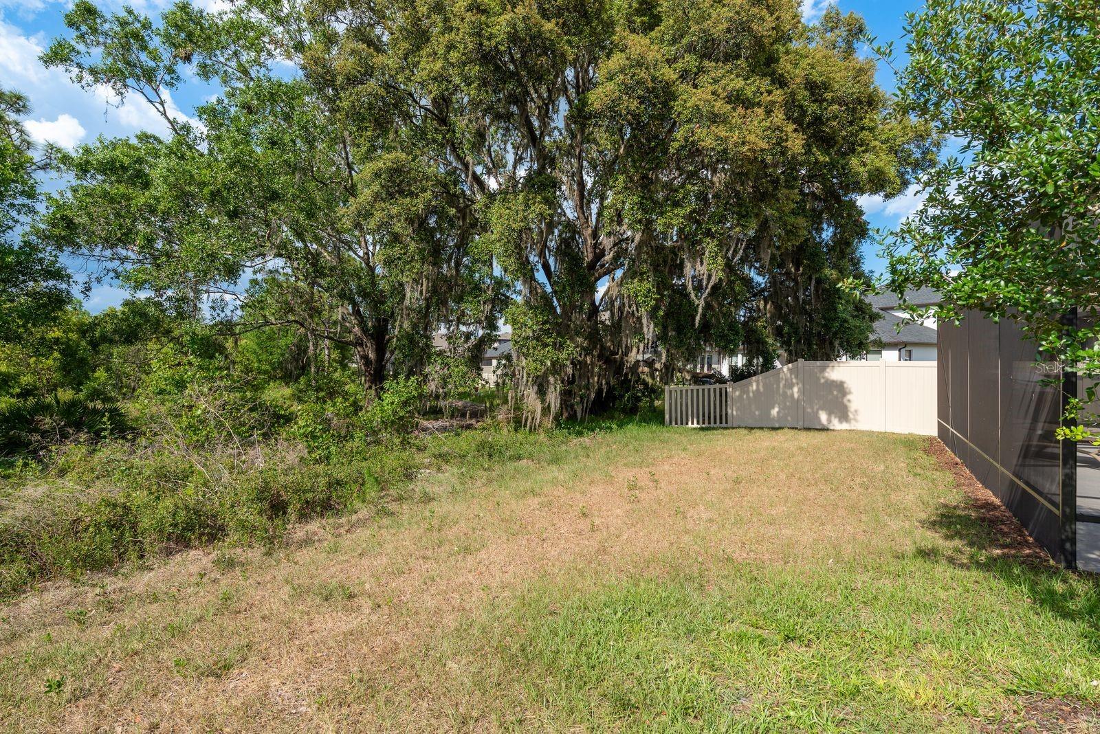 View of back yard