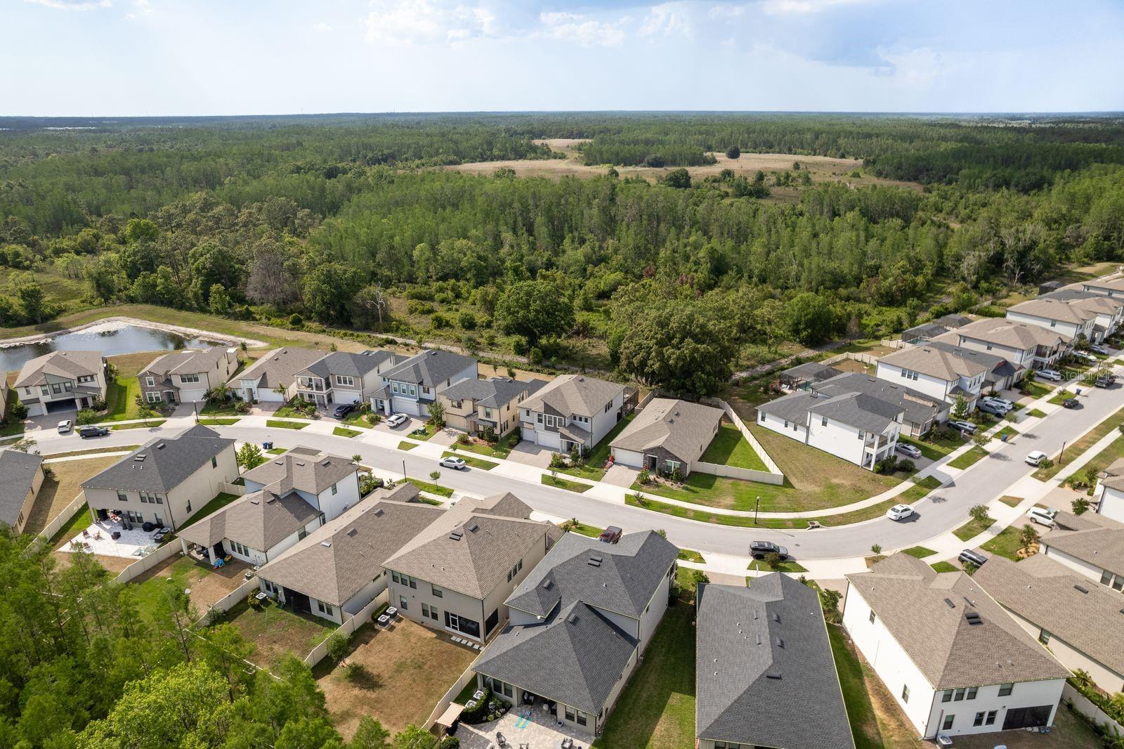 aerial view