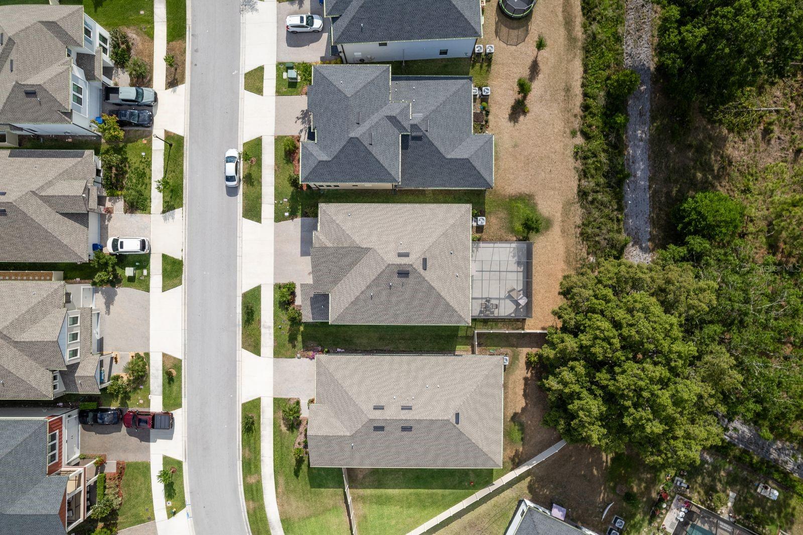 aerial view