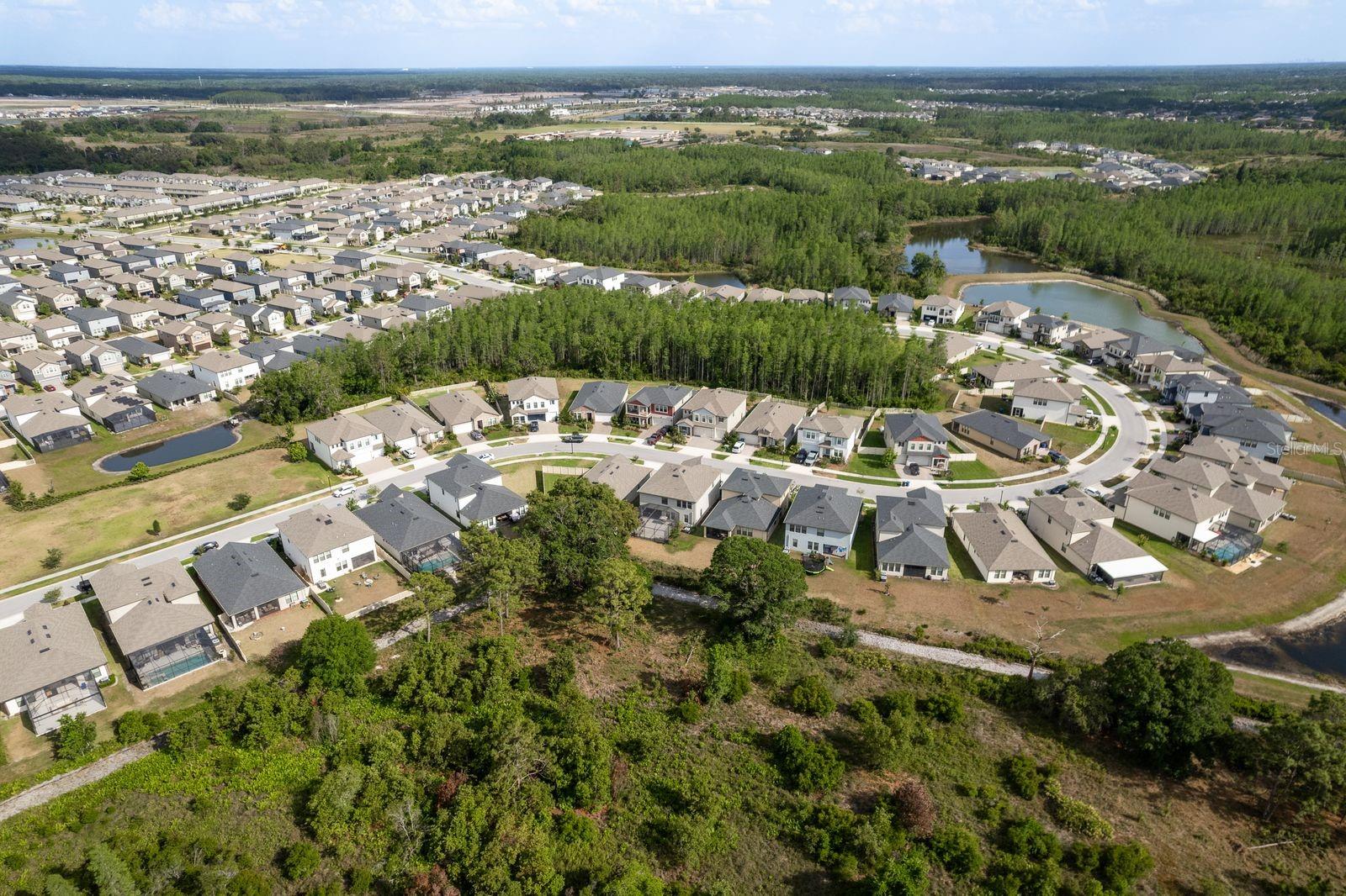 aerial view