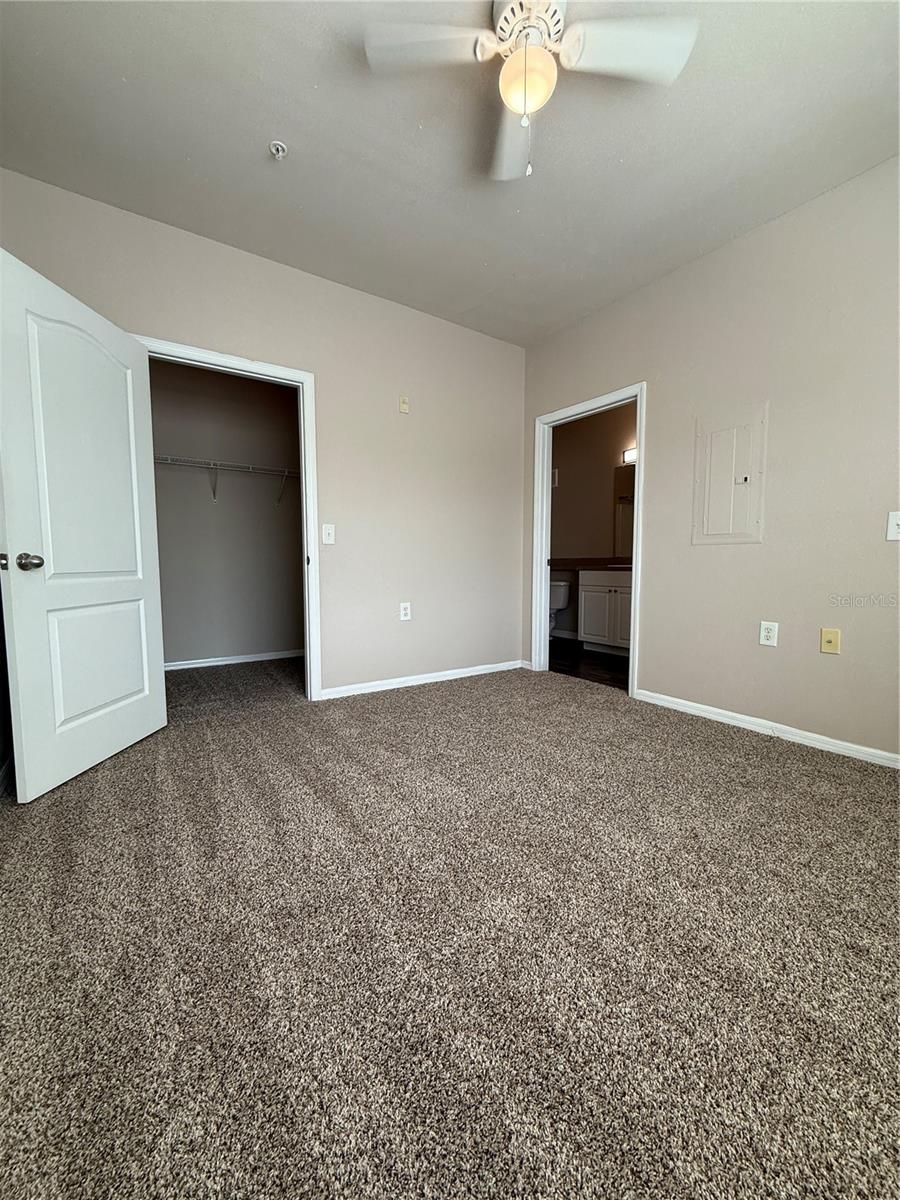 Primary Bedroom Overview