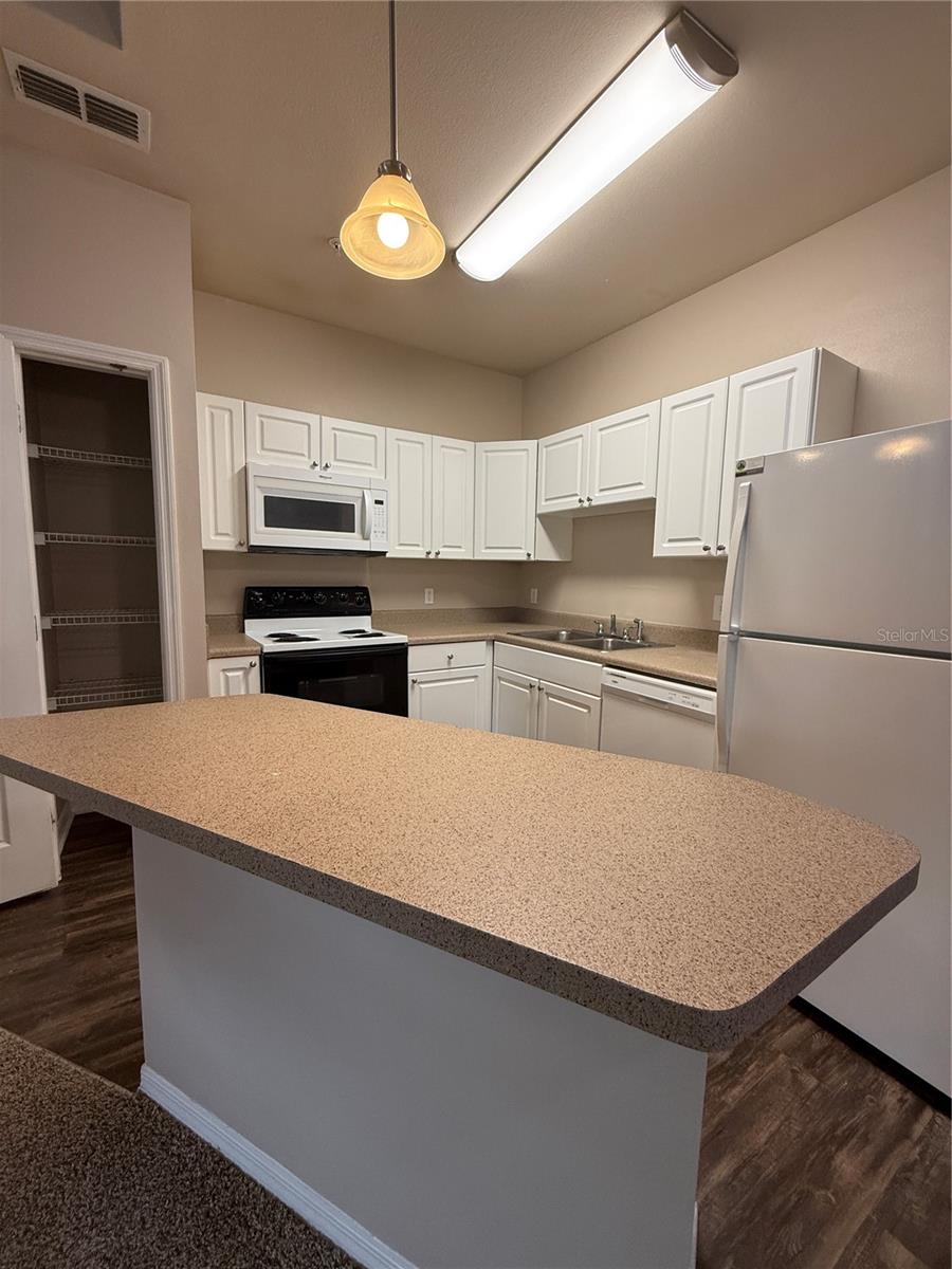 Kitchen / Pantry