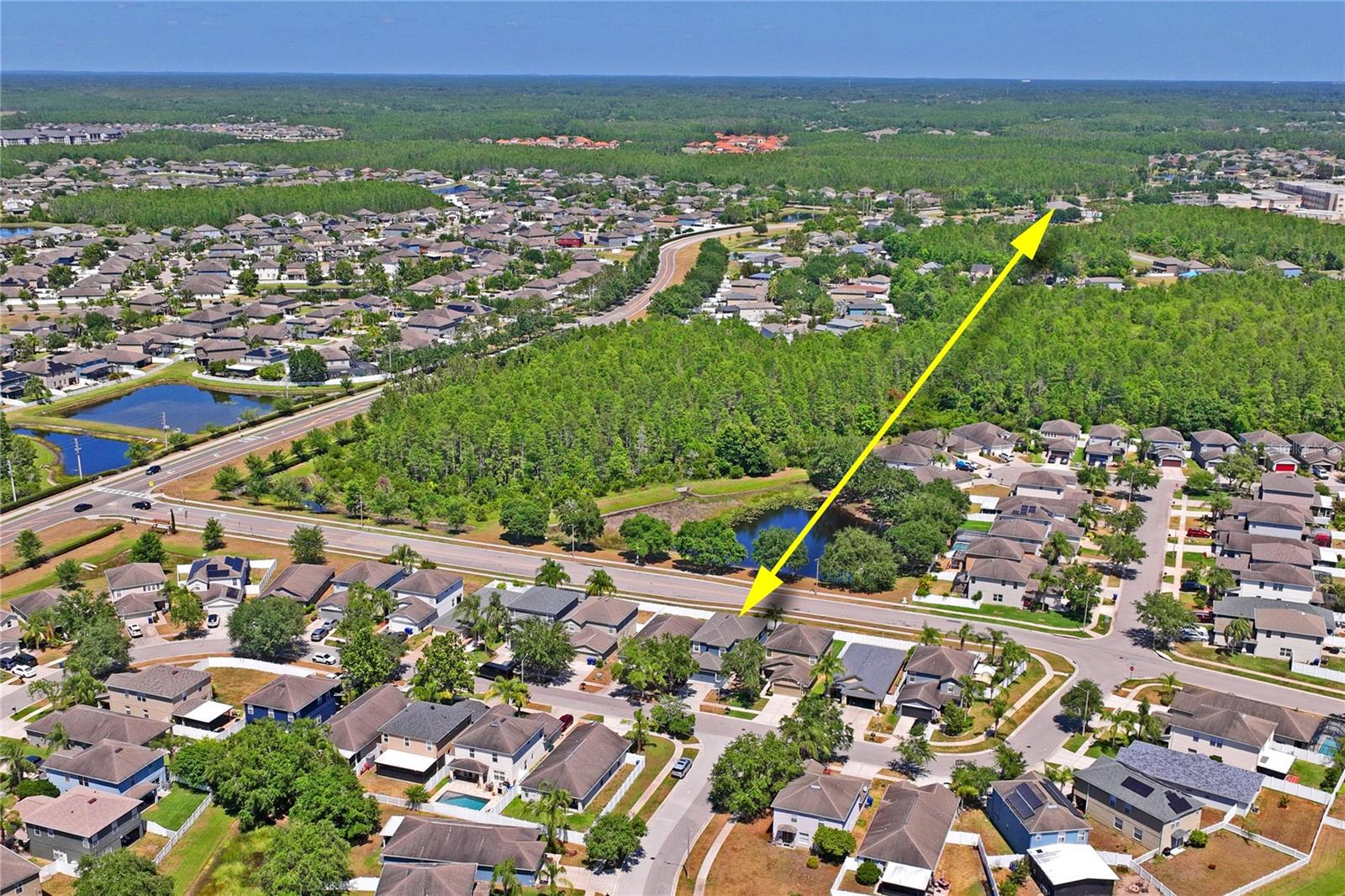 W7875062