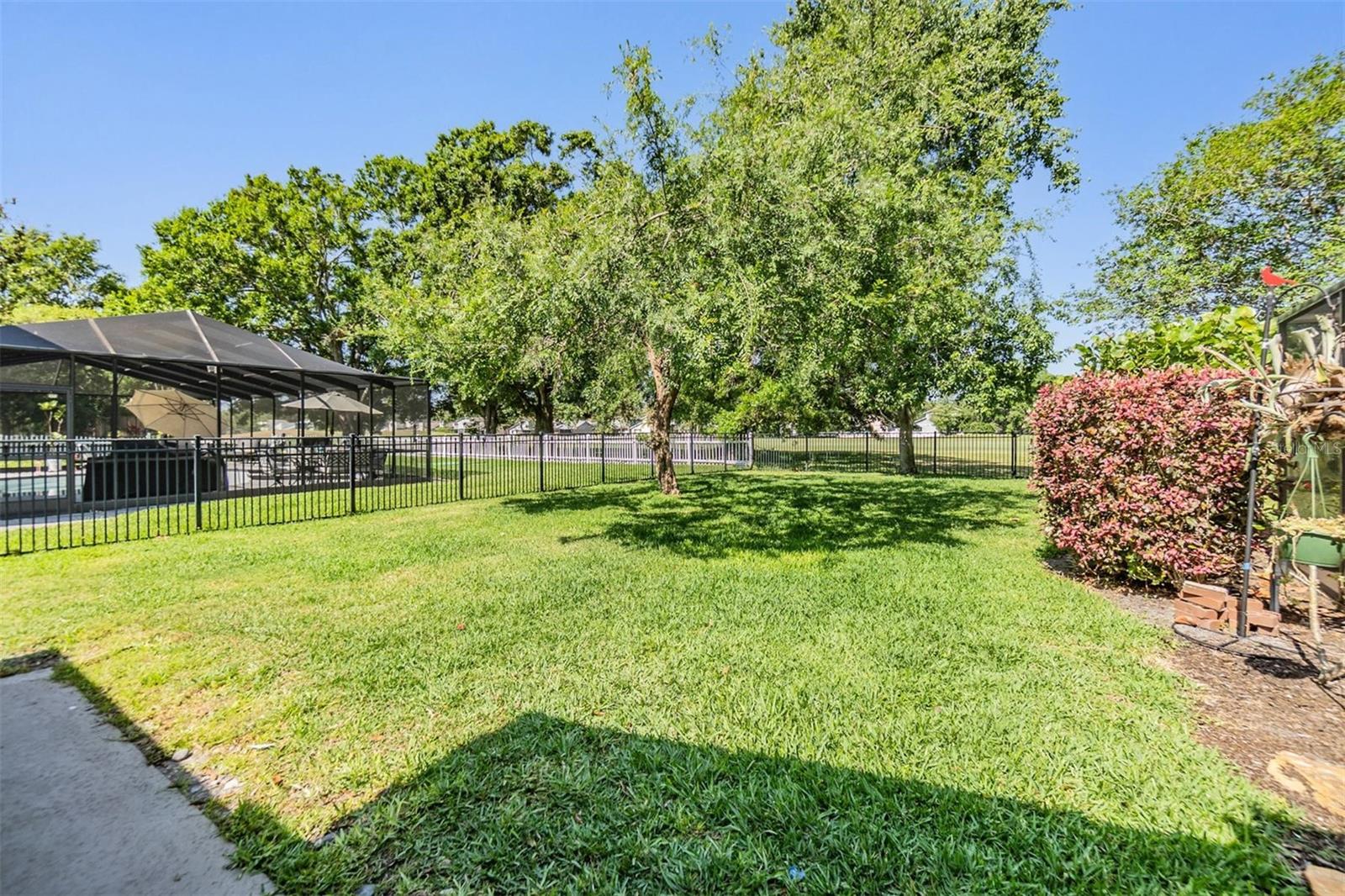 Large fenced yard