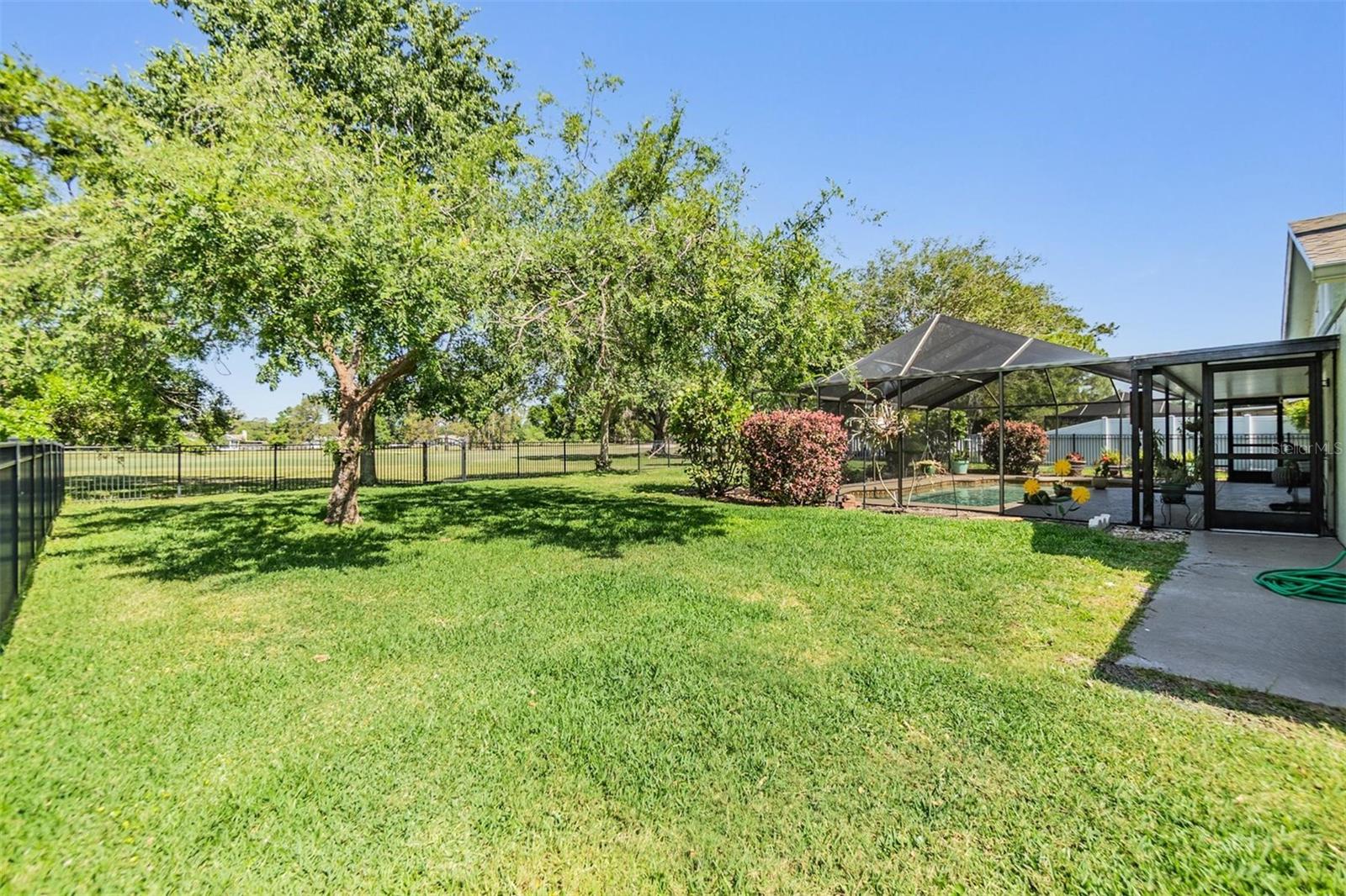 Large fenced yard