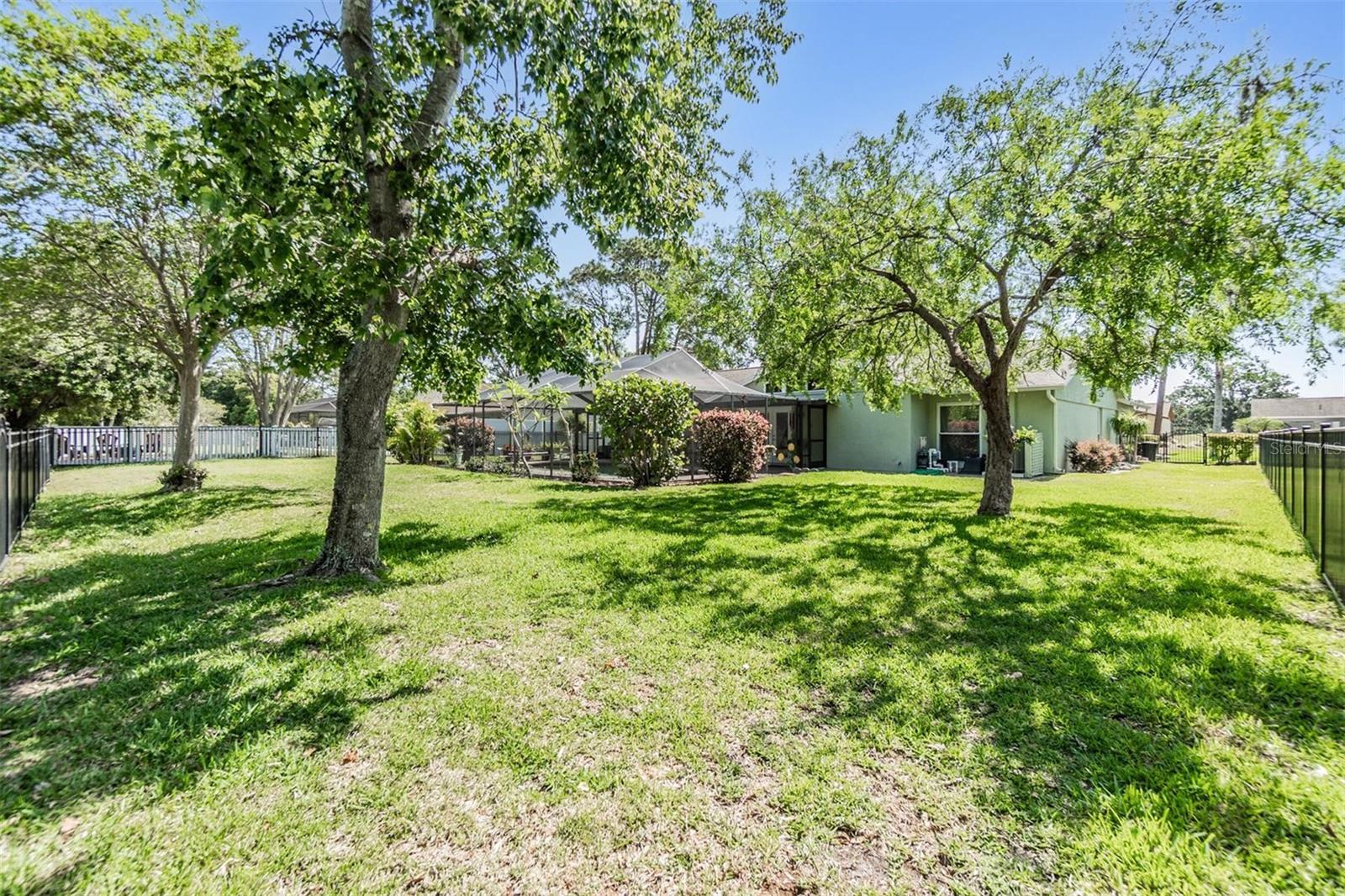 Large fenced yard