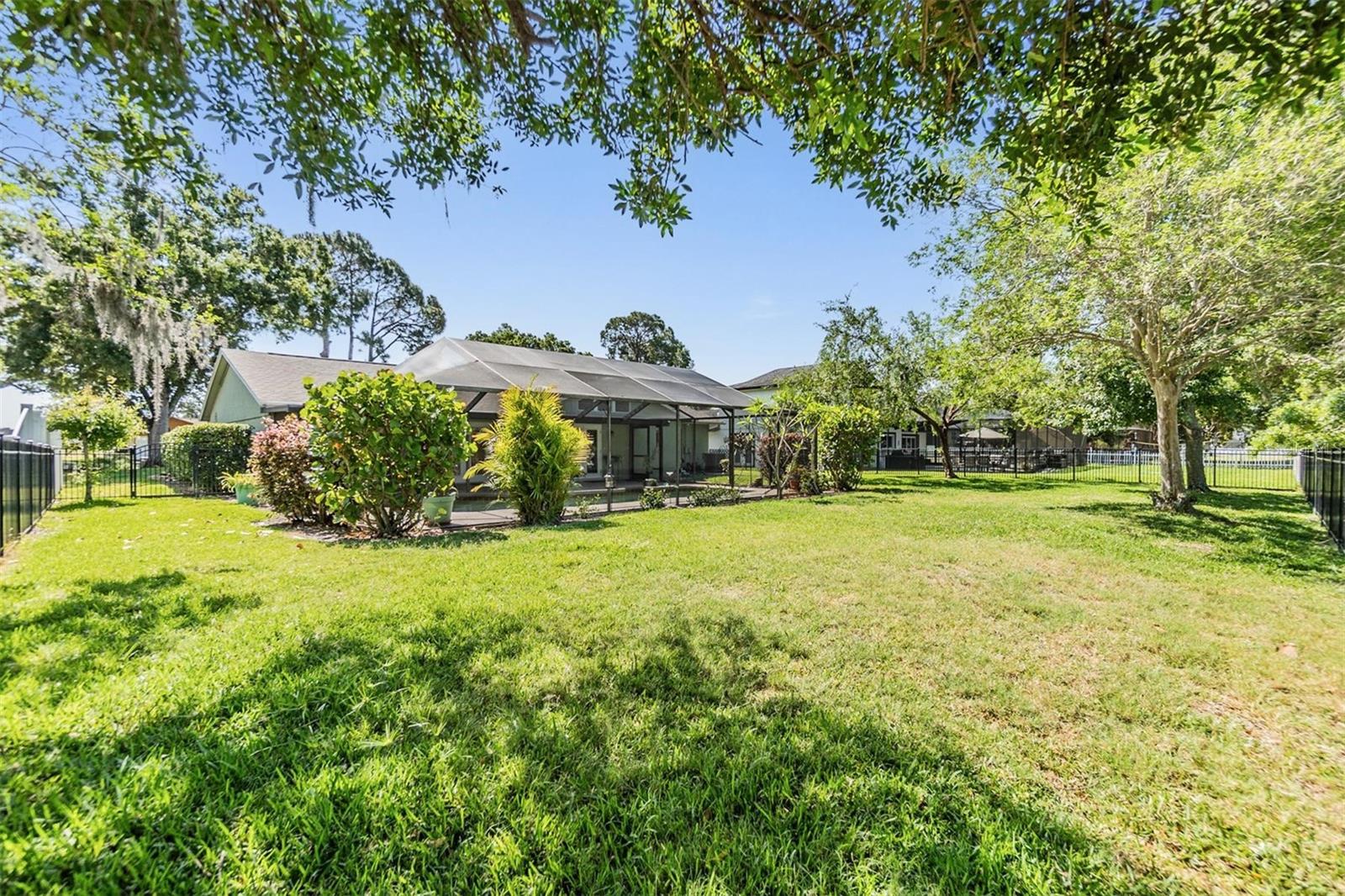 Large fenced yard