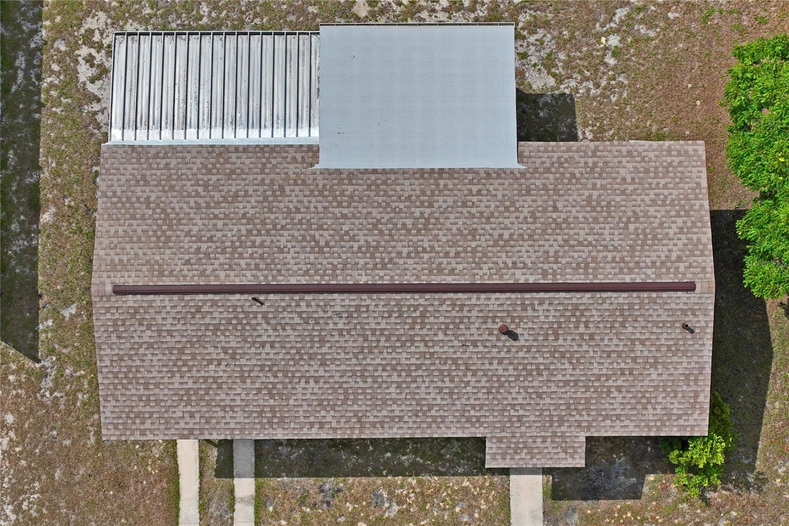 Birdseye