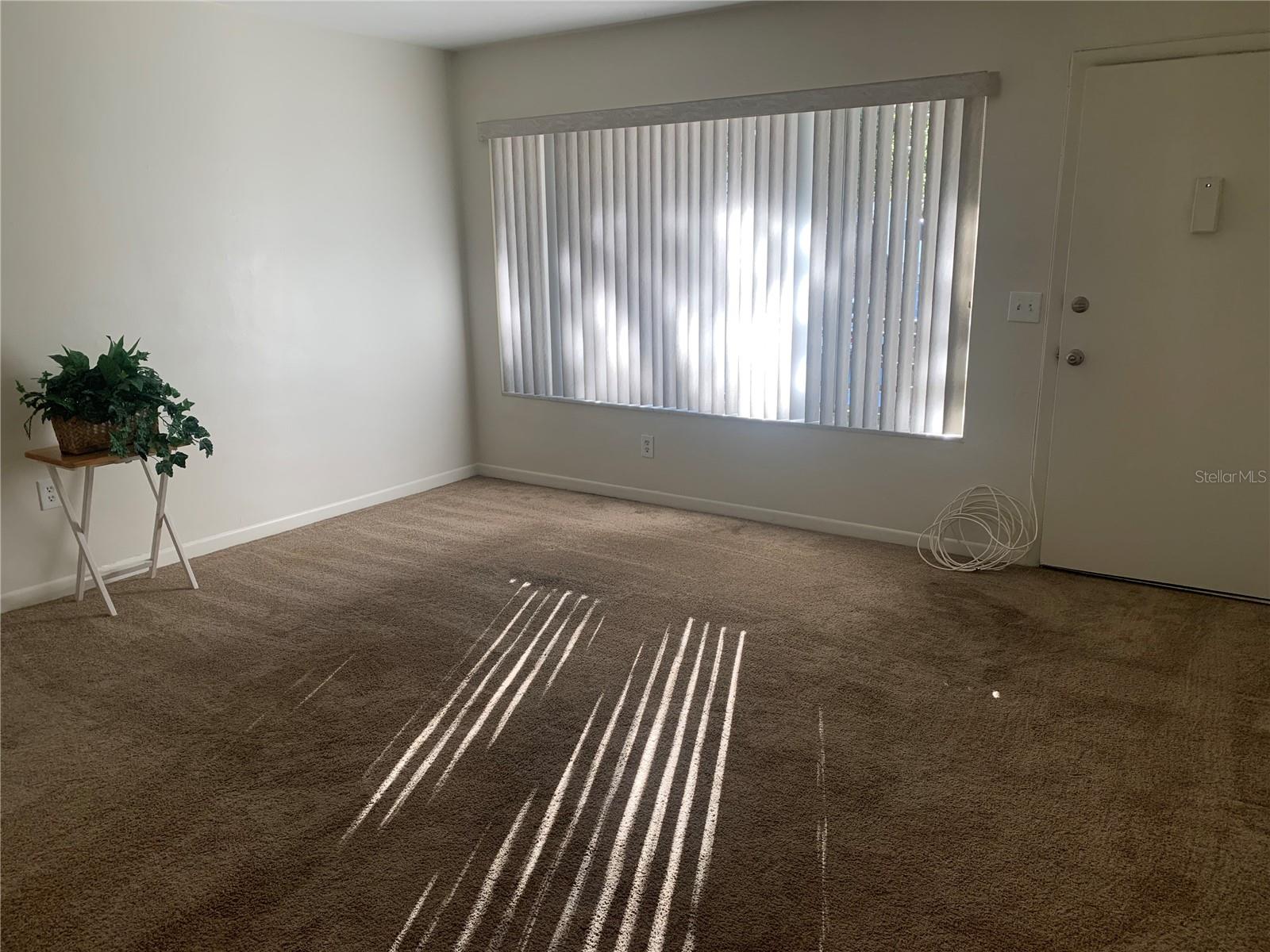 Nice light coming in Picture Window.
