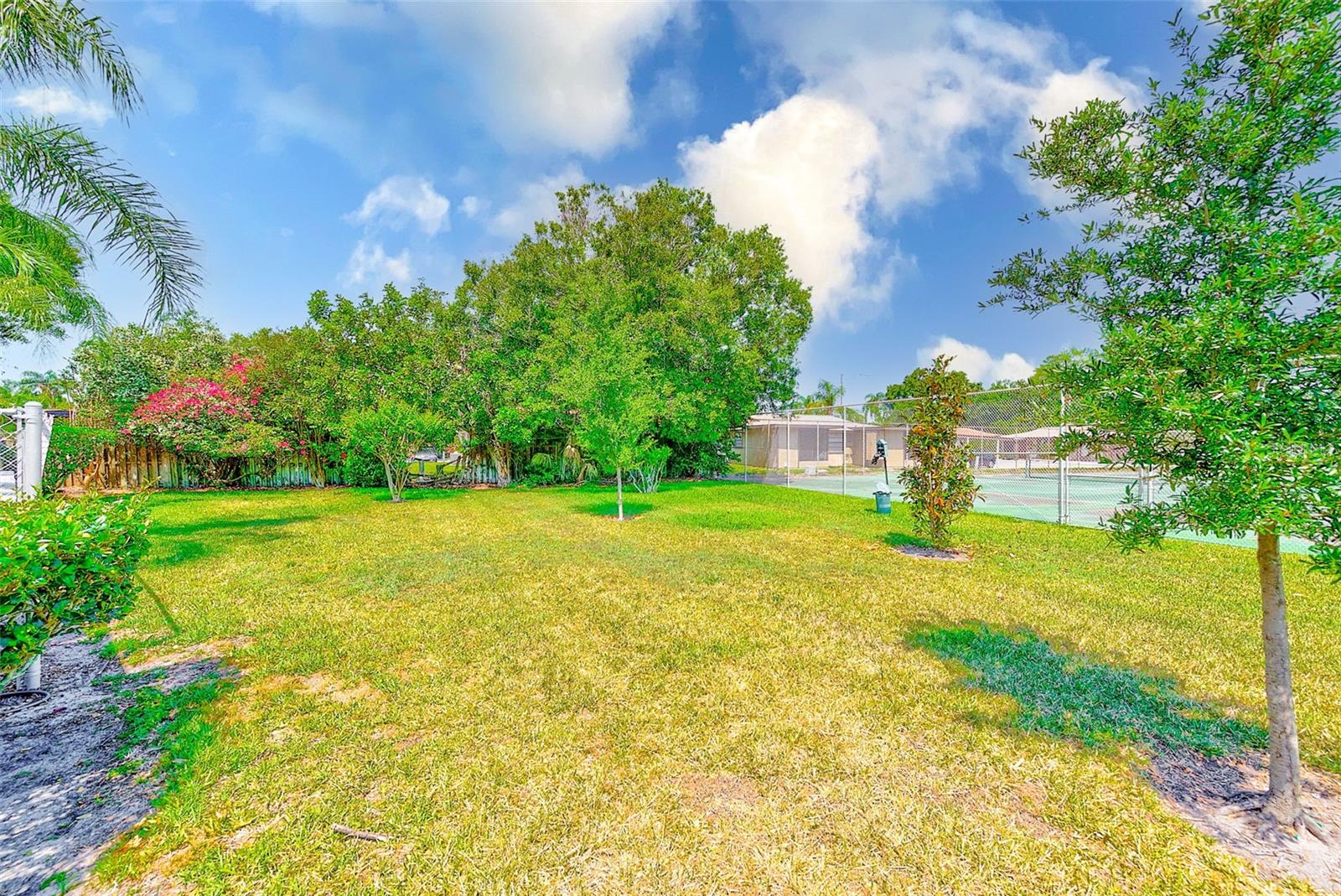 Tree View & Tennis Courts