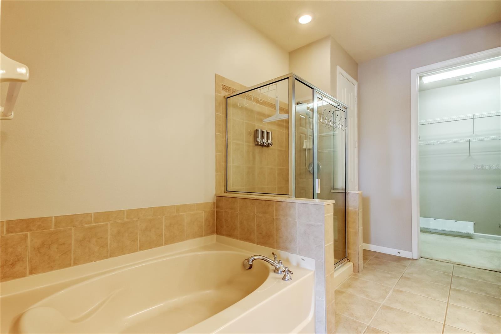 Soaking tub in master