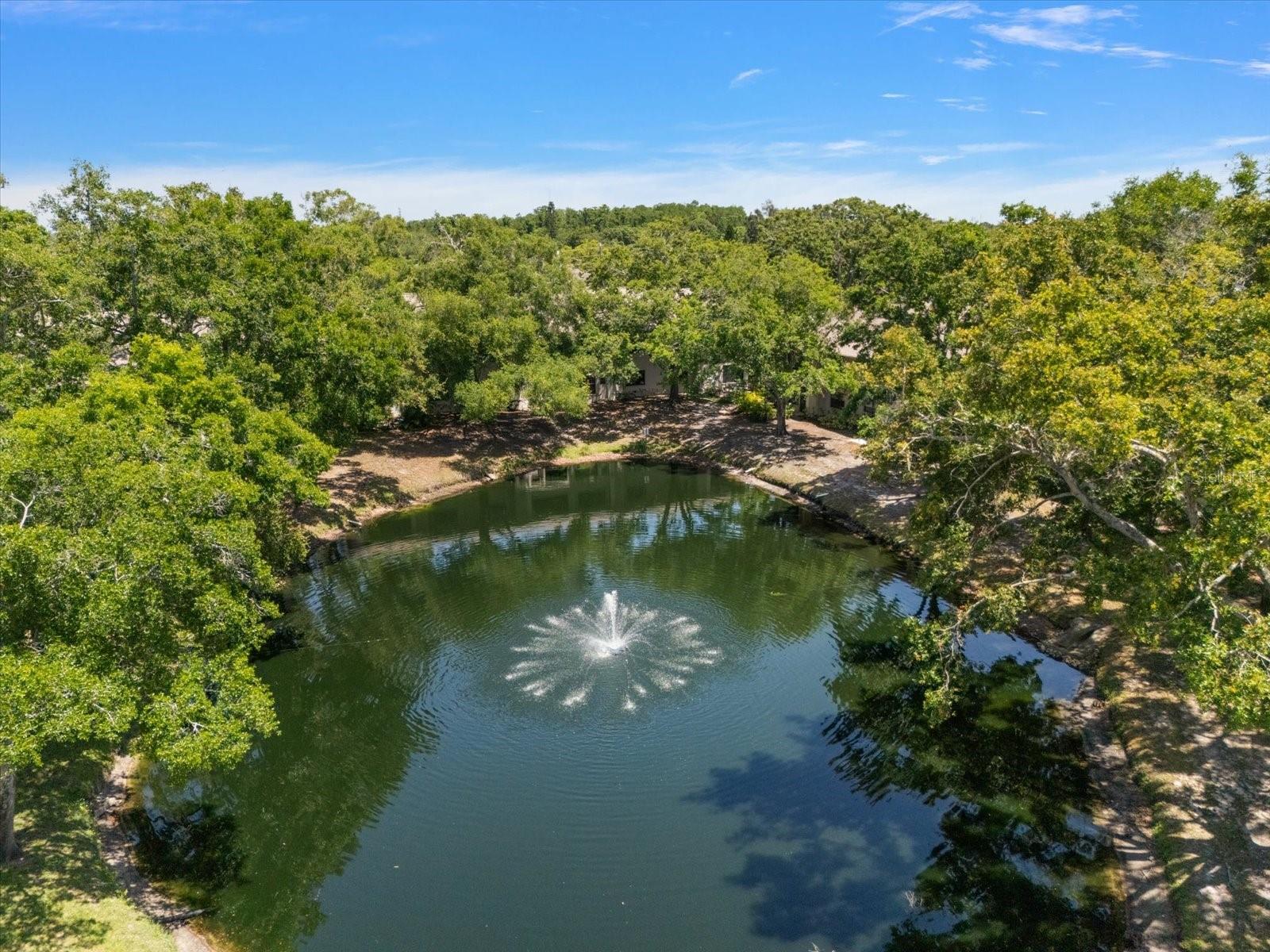 Aerial of Community Pond