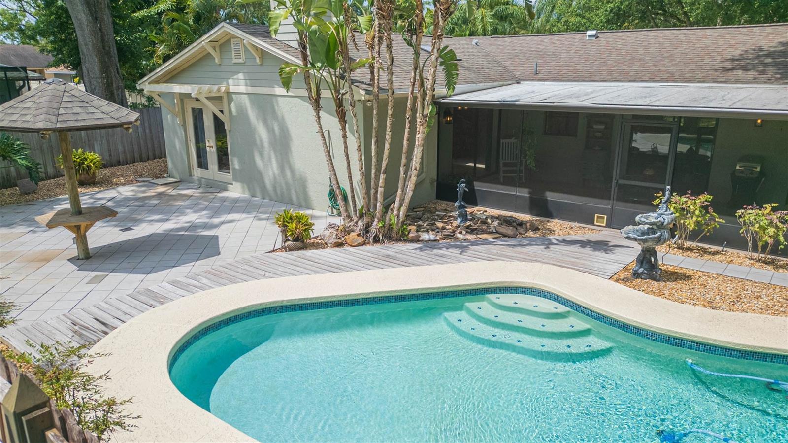 Pool & Backyard