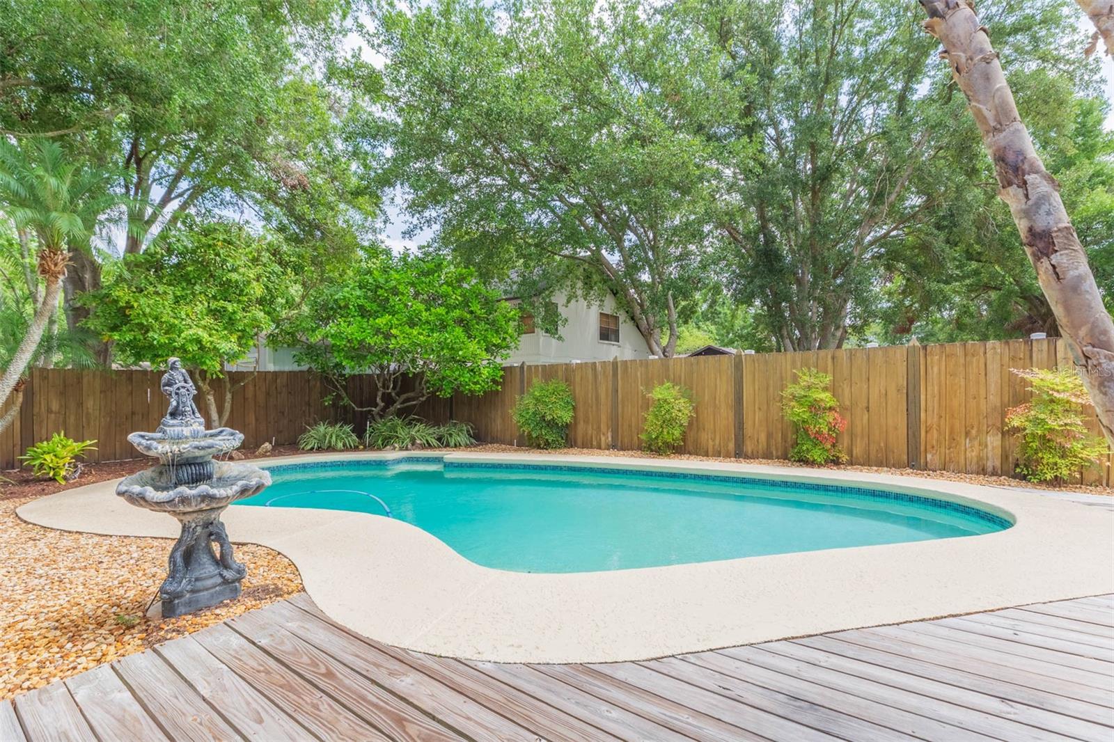 Deck & Pool