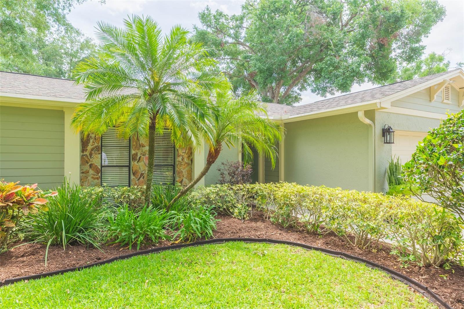 Front Yard Landscaping