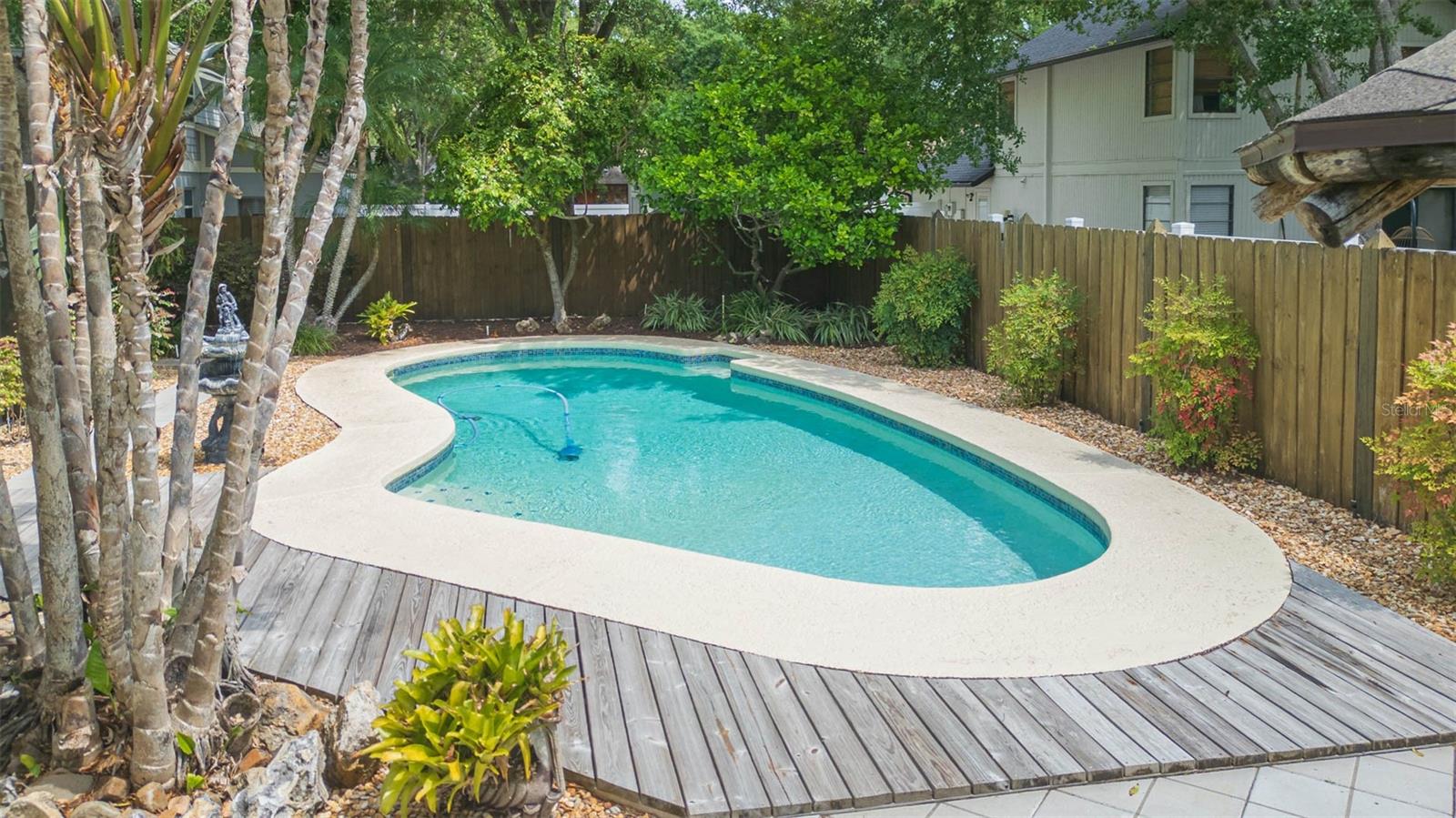 Pool & Deck