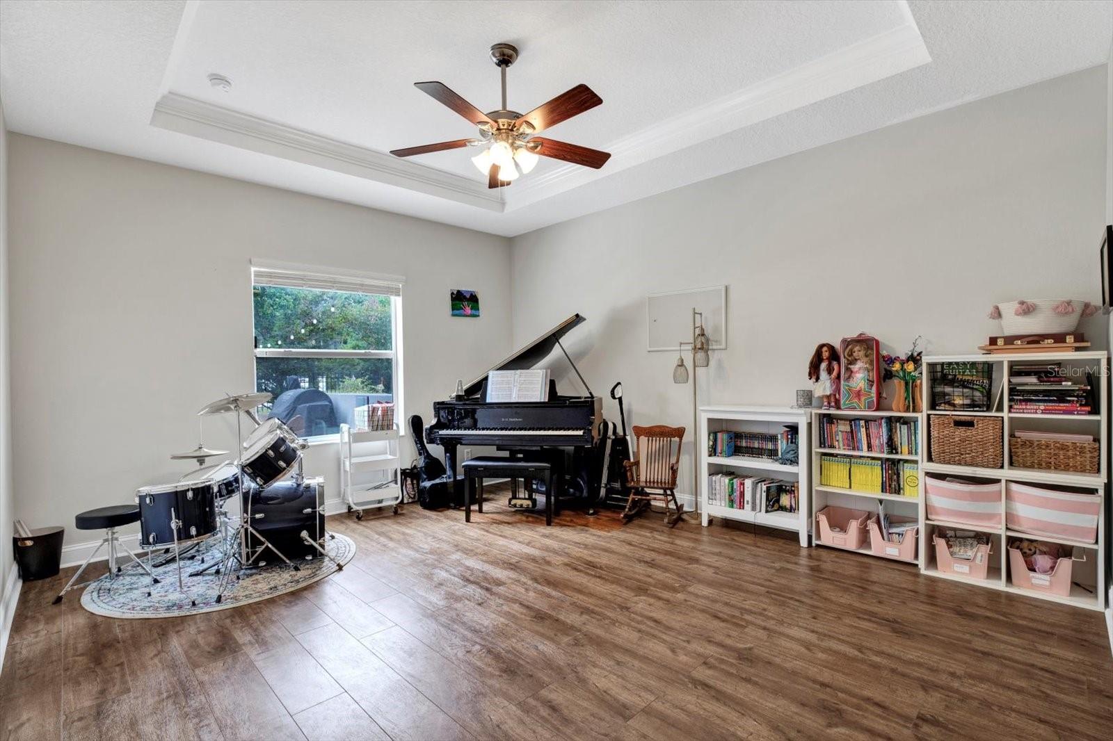 Downstairs Bonus / Music Room