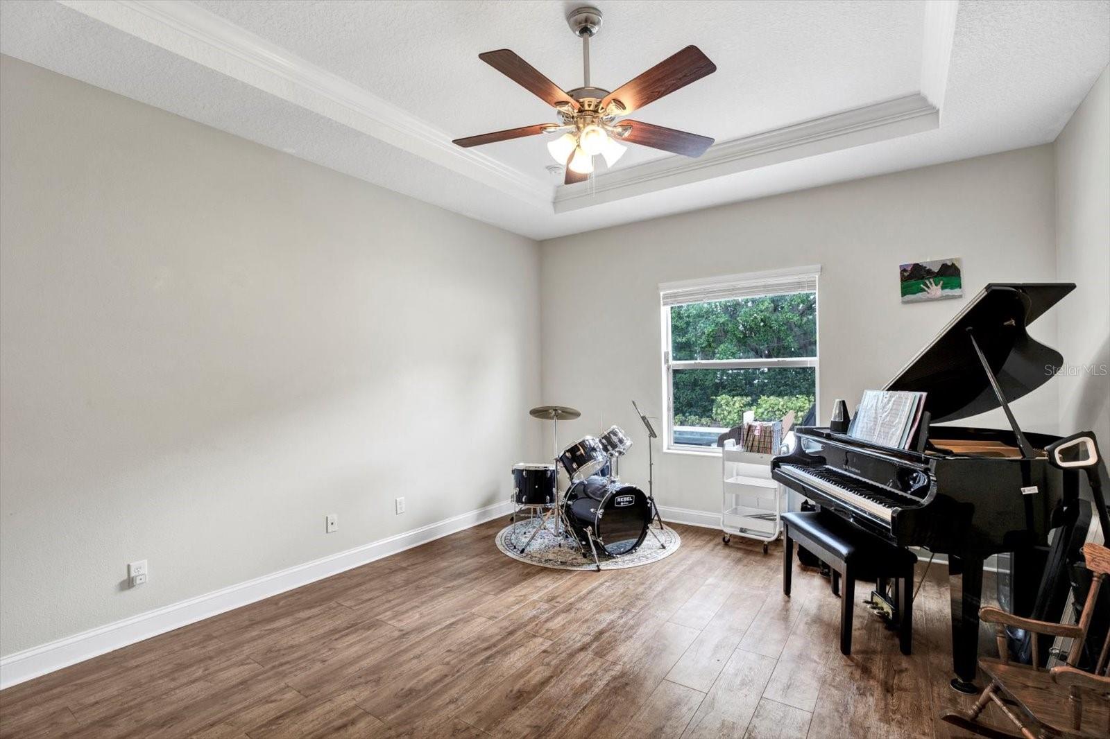 Downstairs Bonus / Music Room