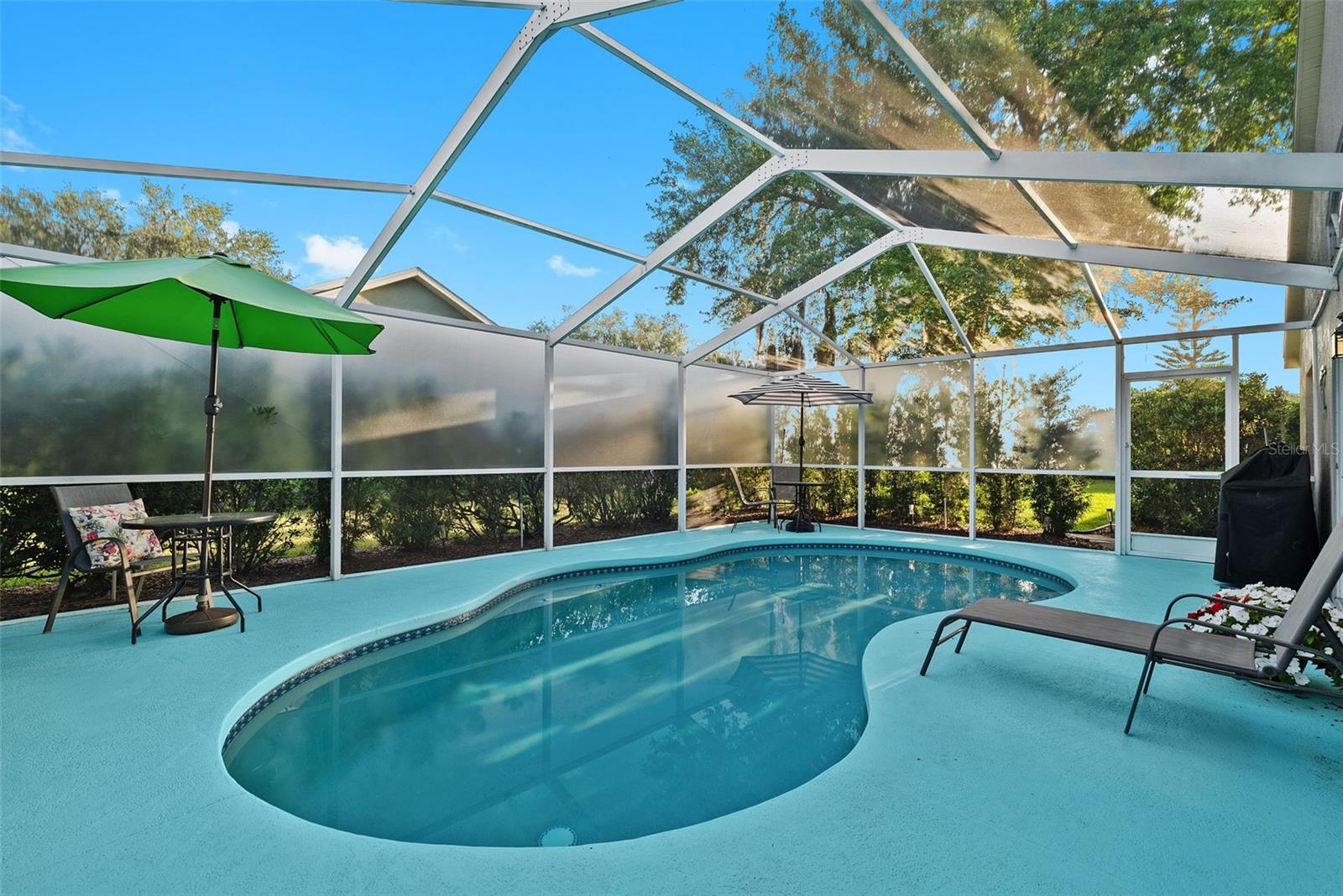 Gunite Pool with Privacy Screen