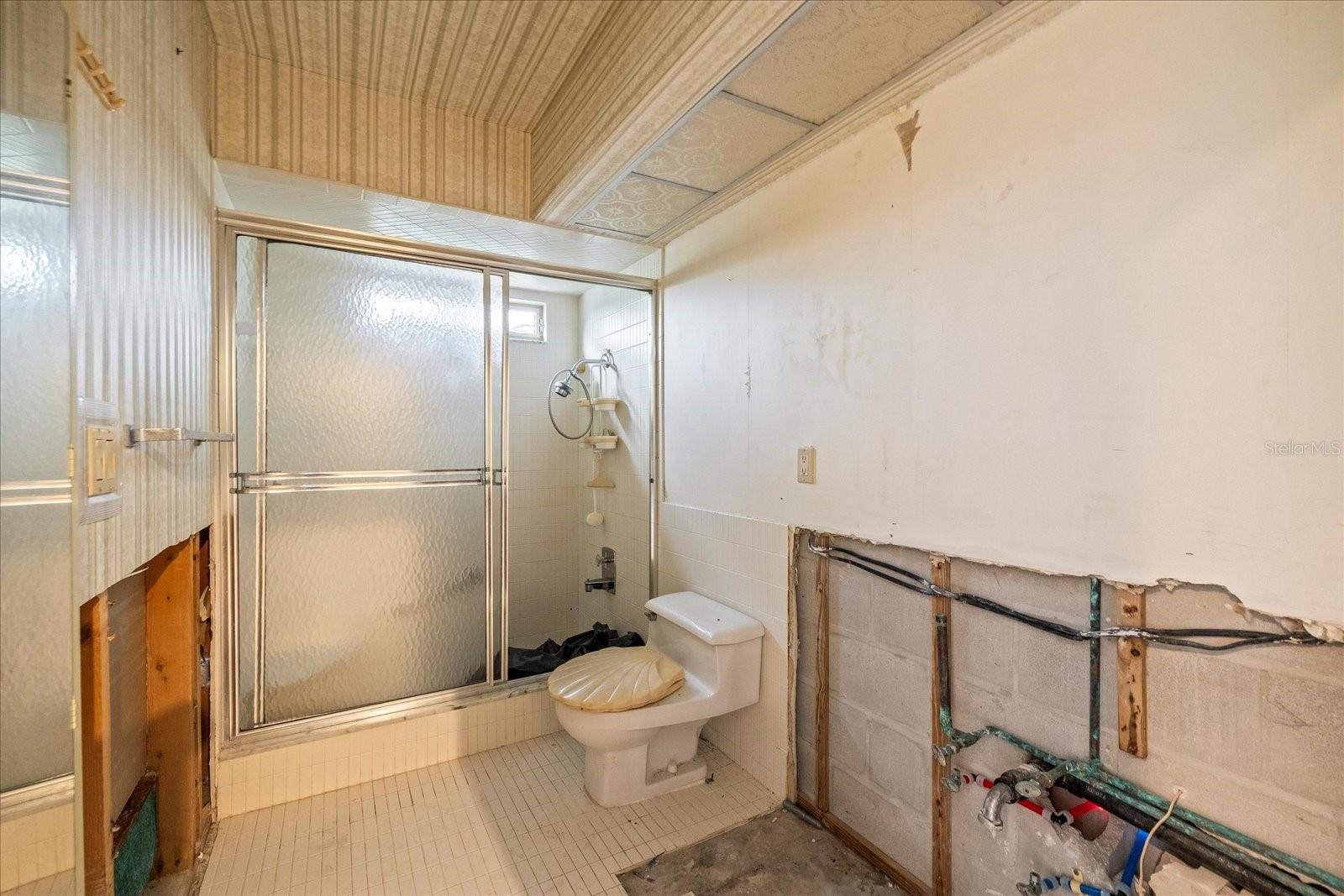 Primary bathroom