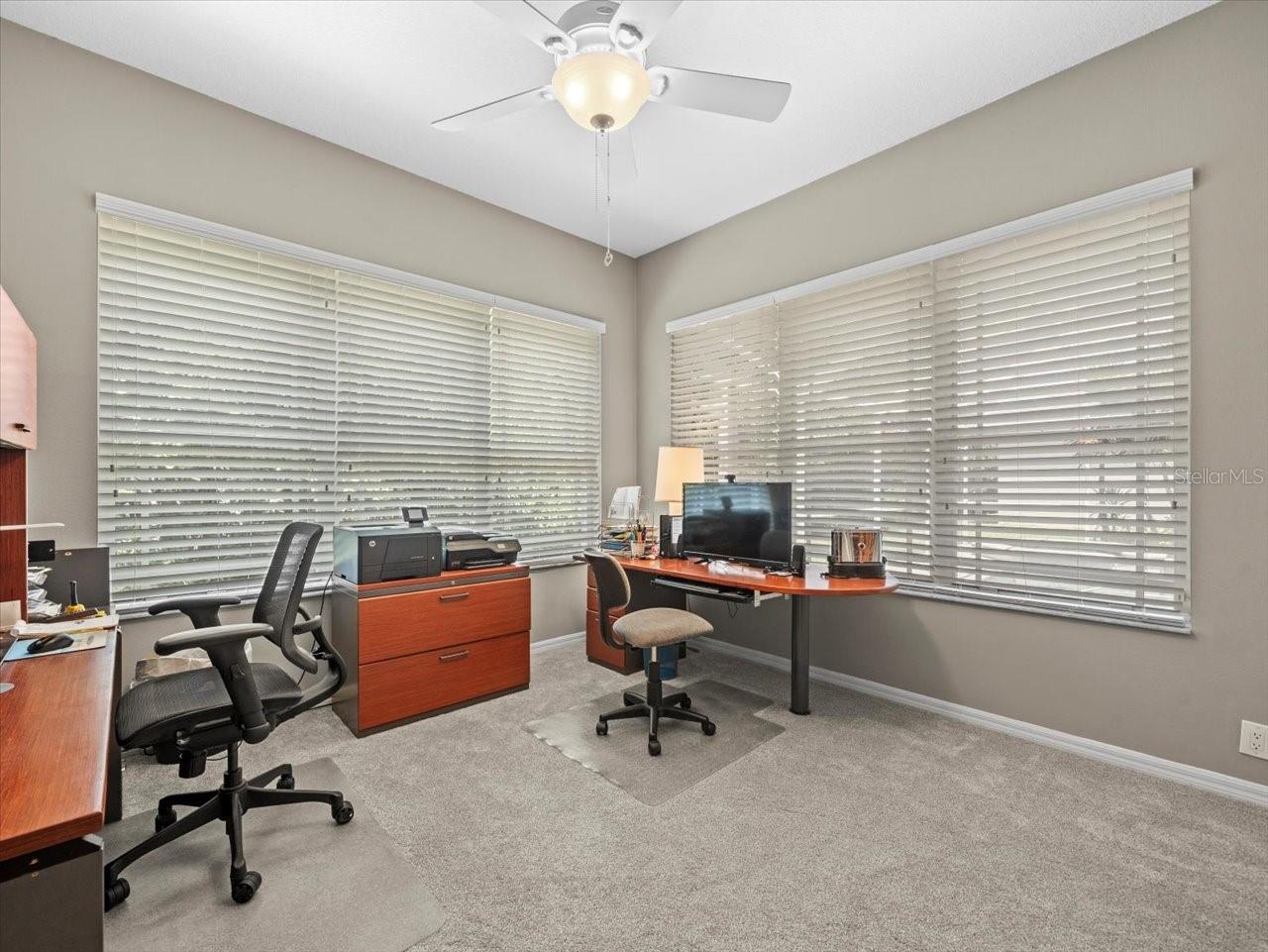 Office/Den/Conservatory