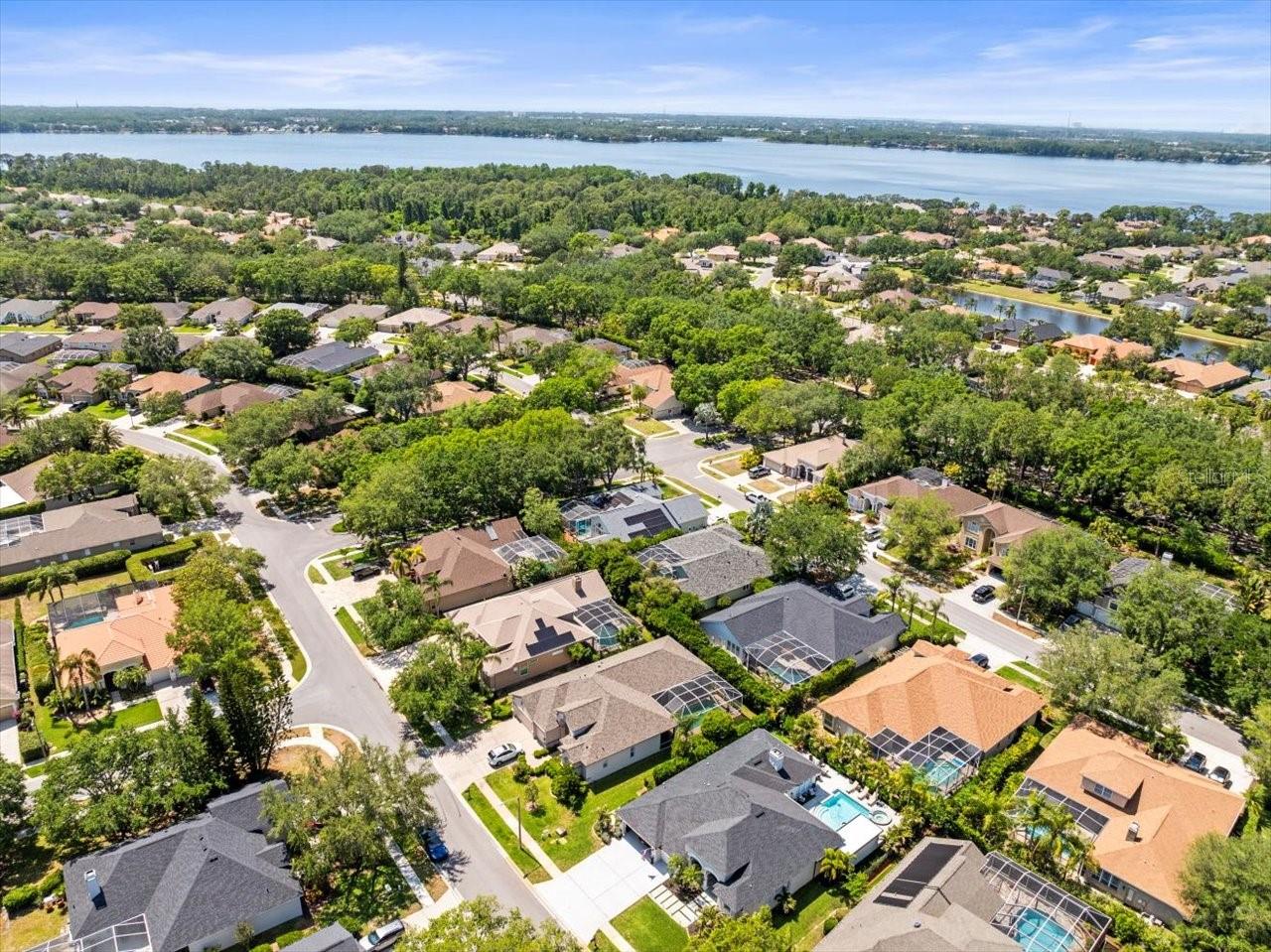 Lake Tarpon in background