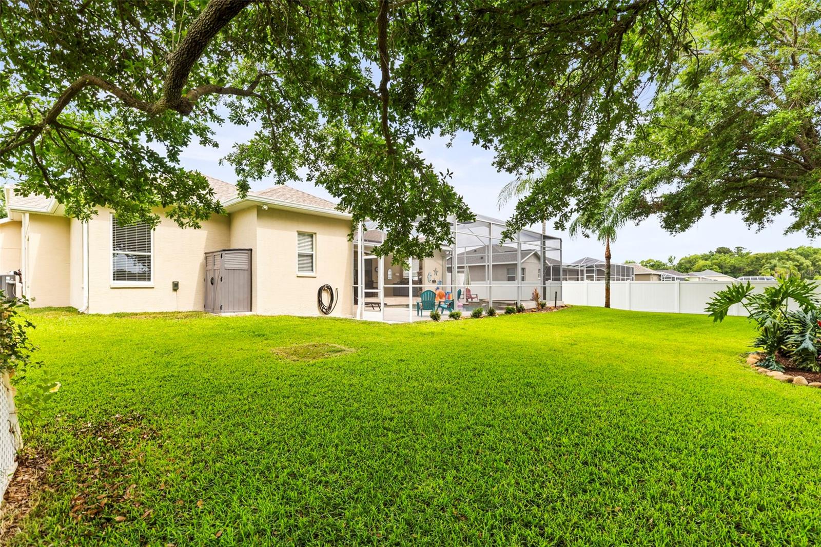 Back corner of yard